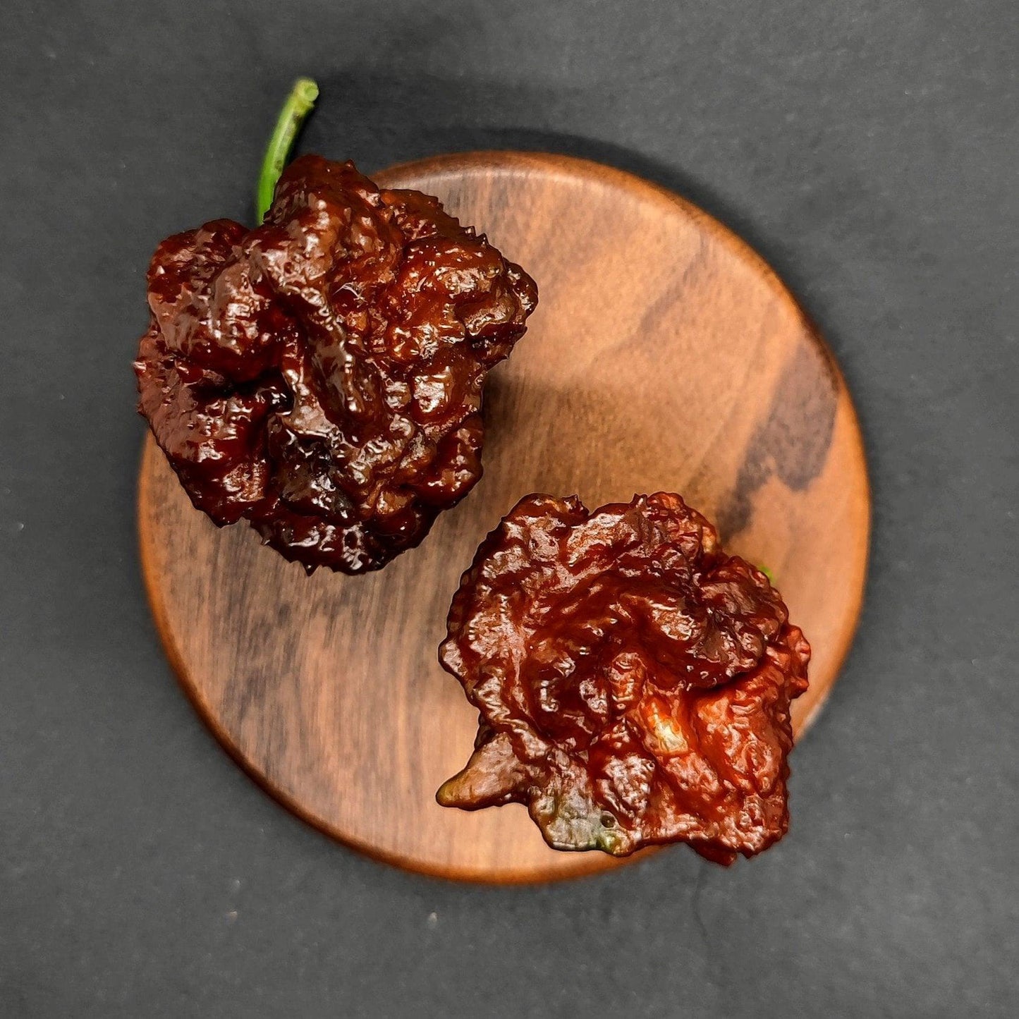 Two dark red, wrinkled Chocolate Brainstrain peppers from PepperMerchant.net rest on a round, dark wooden platform against a black background. A green stem is visible on one of the superhot peppers.