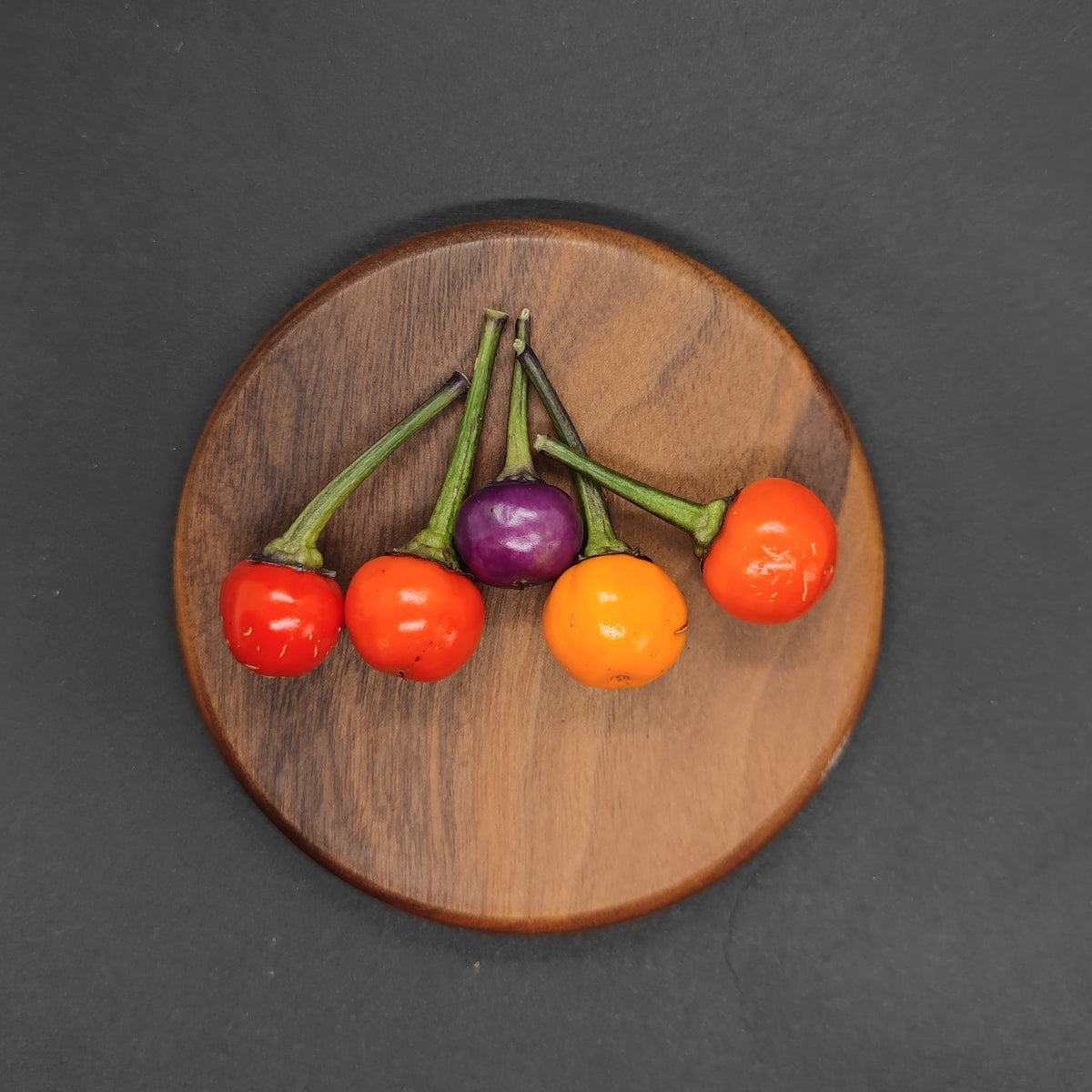 Four small round Faddas AC101B peppers from PepperMerchant.net—three red, one orange, and one purple—are arranged in a row on a round wooden board with a black background. These vibrant Italian peppers offer mild heat and subtle sweetness while adding visual flair to the scene.