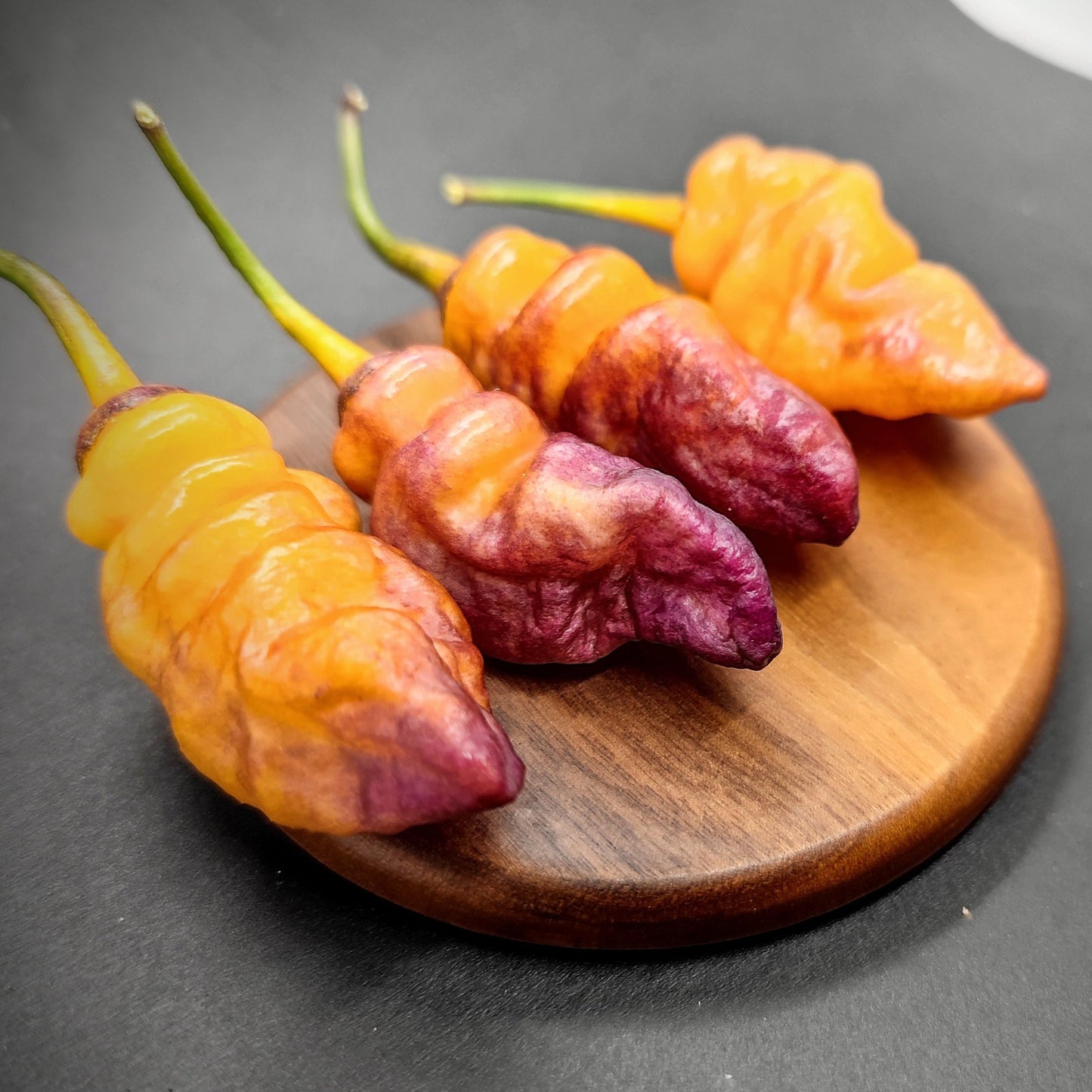 A close-up shot showcasing four distinctive, wrinkled BBG7 Dream - Chubby Pehno peppers from PepperMerchant.net, displaying a gradient of orange to purple hues. These peppers are artfully arranged on a round wooden plate against a dark backdrop and are available in limited stock.