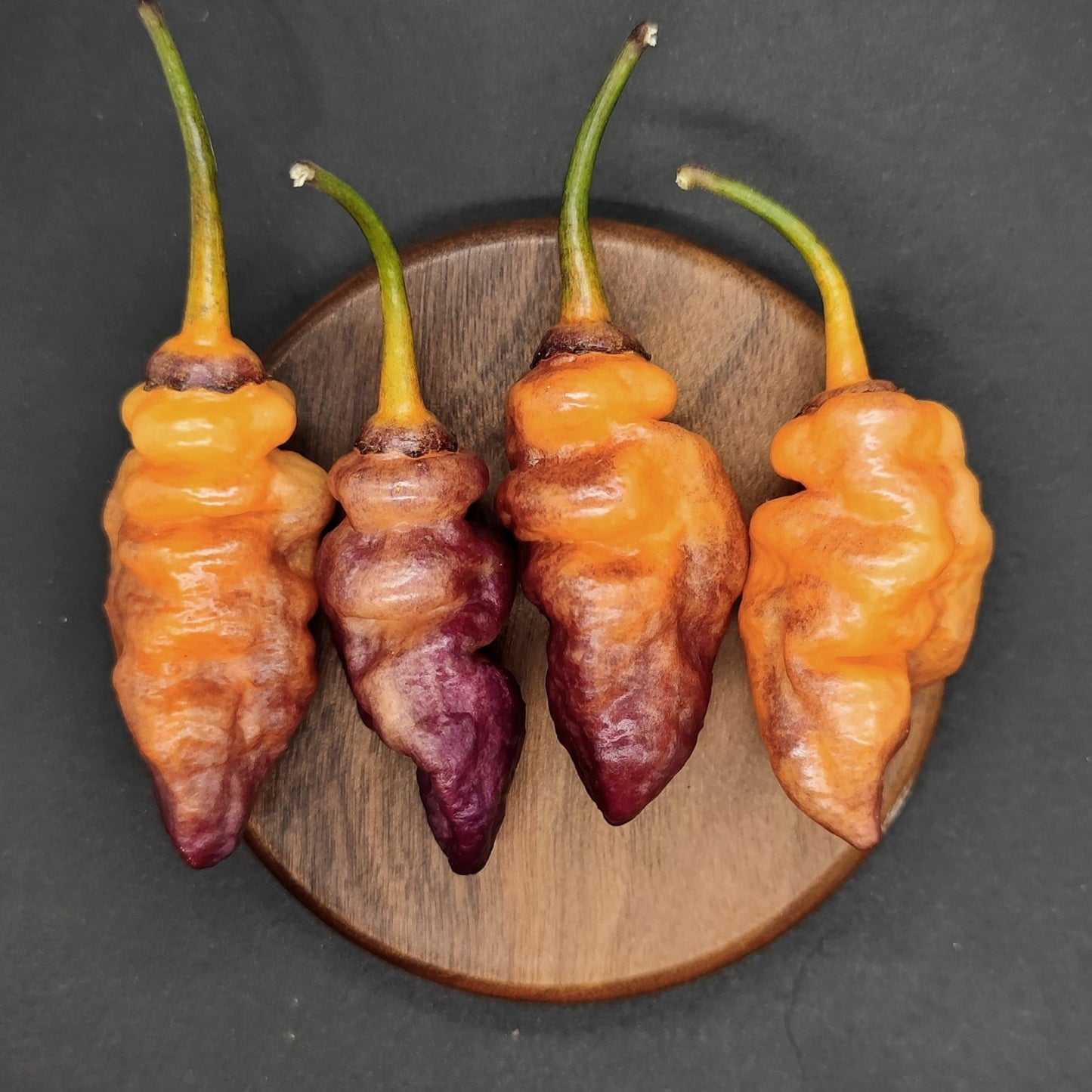 Four uniquely textured BBG7 Dream - Chubby Pehno peppers from PepperMerchant.net rest on a round wooden plate against a dark background. Displaying green stems and transitioning hues from orange to BBG7 Dream purple, their wrinkled, varied colors emphasize their exclusivity, as they are in limited stock.