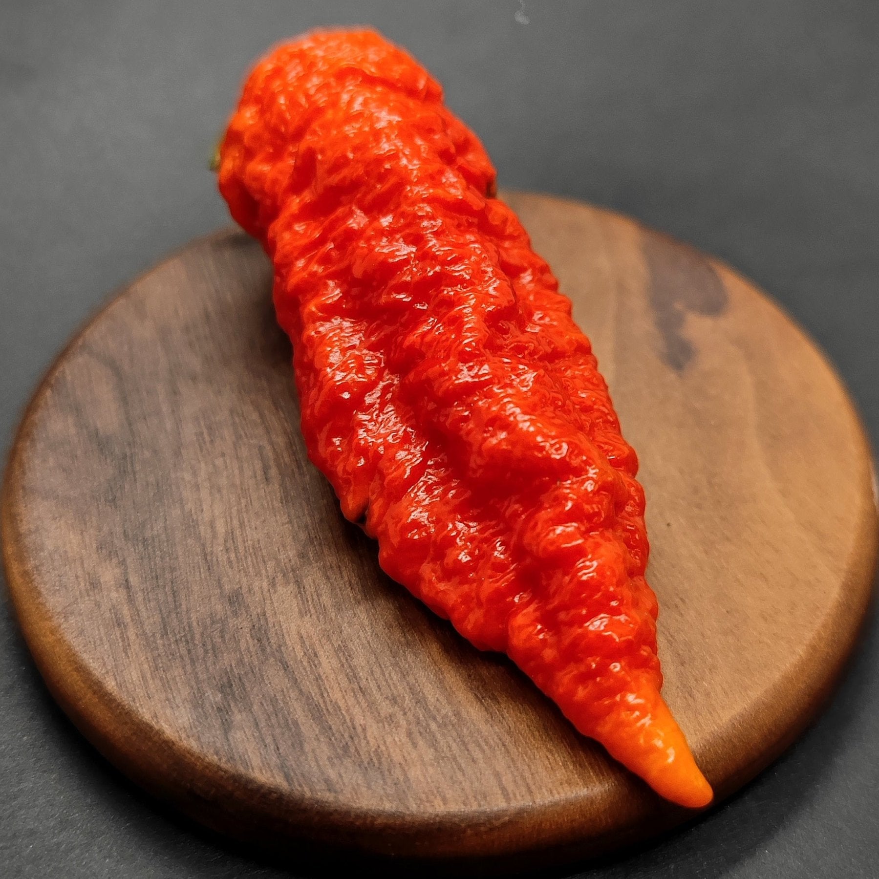 A Death Spiral chili from PepperMerchant.net, with its bright red, wrinkled skin, rests on a round wooden board against a dark background, hinting at the extreme heat within.