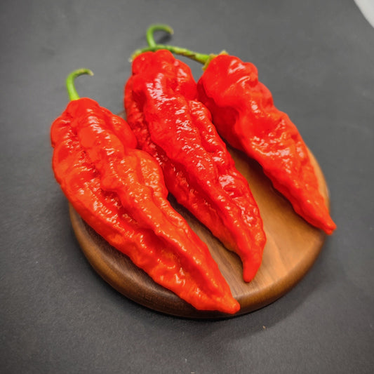 Three fiery Ghost X Scorpion peppers from PepperMerchant.net are displayed on a small round wooden tray against a dark background, showcasing their superhot intensity.