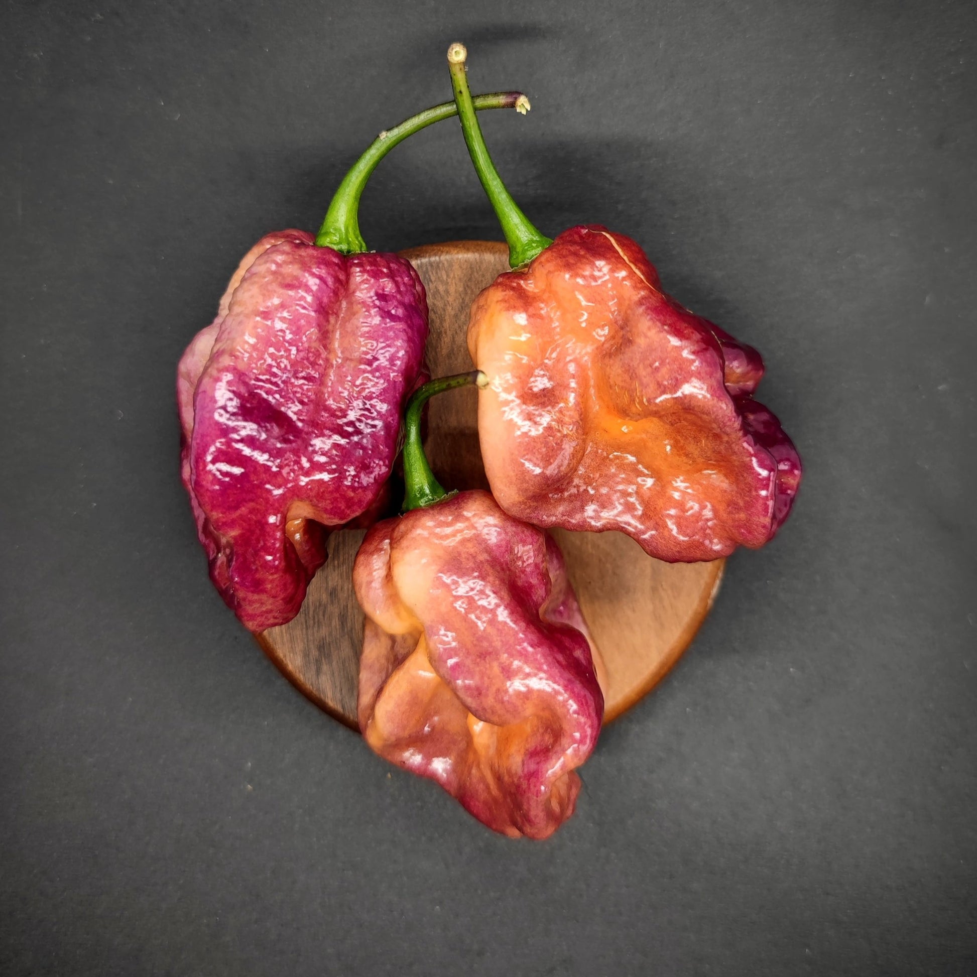 Against a dark backdrop, "Delirio" peppers from PepperMerchant.net—a trio of vibrant, glossy Trinidad Scorpion Moruga and a solitary Peter Pepper Yellow—rest on a wooden circular base. Their textured, bumpy skins and green stems suggest that this fiery ensemble is primed to transform into the ultimate hot sauce.