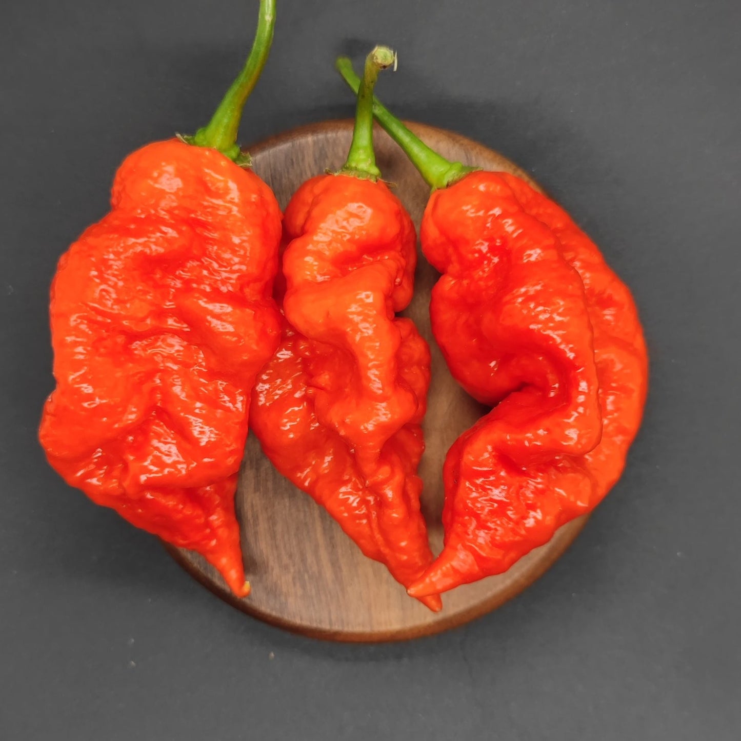 Three vibrant red ghost peppers with wrinkled skin are arranged on a round wooden surface against a dark background, their unique seeds from the PM 035 variety by PepperMerchant.net adding an intriguing allure.