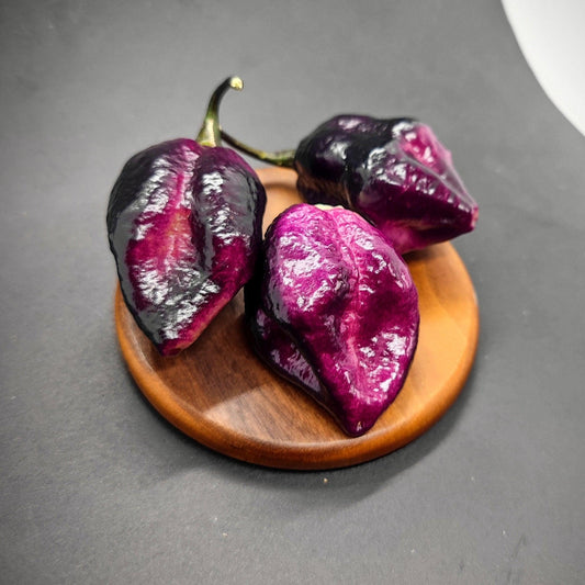 Three Phat Karen peppers from PepperMerchant.net with a shiny, wrinkled texture sit on a wooden dish against a black background. The hot peppers have a unique, almost blackish hue, creating a striking contrast with the wooden dish.