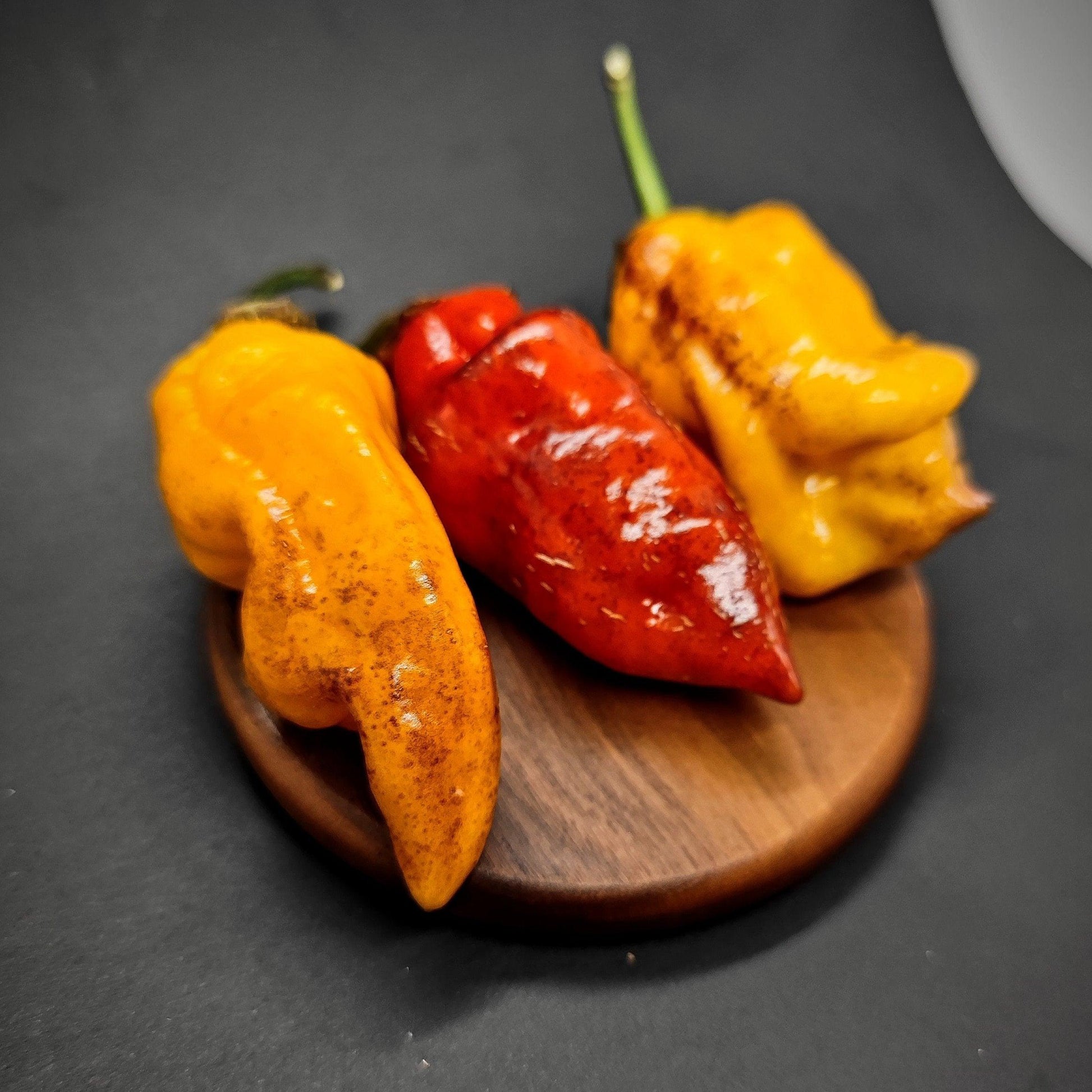 Three vibrant chili peppers from PepperMerchant.net's BBG7 Alchemy variety, in shades of orange and red, rest on a small, round wooden board against a dark background. The slightly wrinkled peppers retain their stems and captivate with their colorshifter hues.