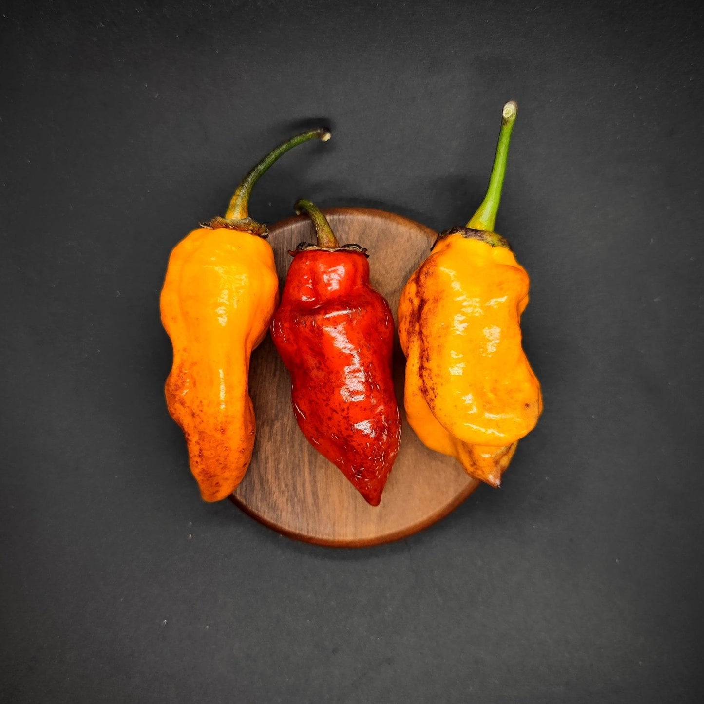 Three hot peppers are arranged in a line on a round wooden surface. The peppers on the left and right are vibrant orange, while the superhot pepper in the center is a deep red. The background is a solid black color, highlighting this BBG7 Alchemy, an exquisite product by PepperMerchant.net that brings fiery colors to life.