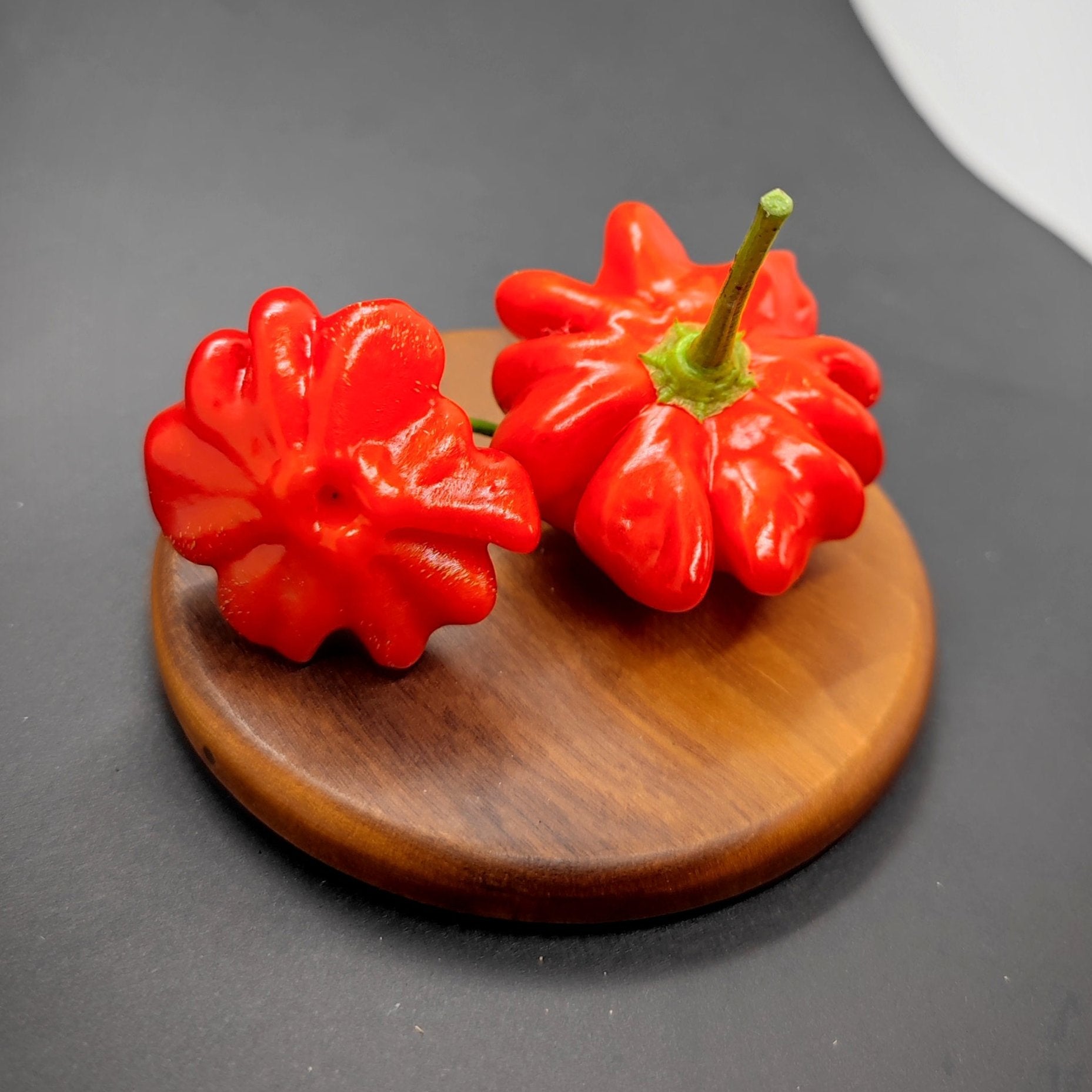 Two vibrant Brazilian Starfish peppers from PepperMerchant.net rest on a wooden platform against a black background. One pepper is upright with its stem visible, while the other lies on its side, showcasing its distinctive ridged surface and floral and fruity flavors that offer medium heat.