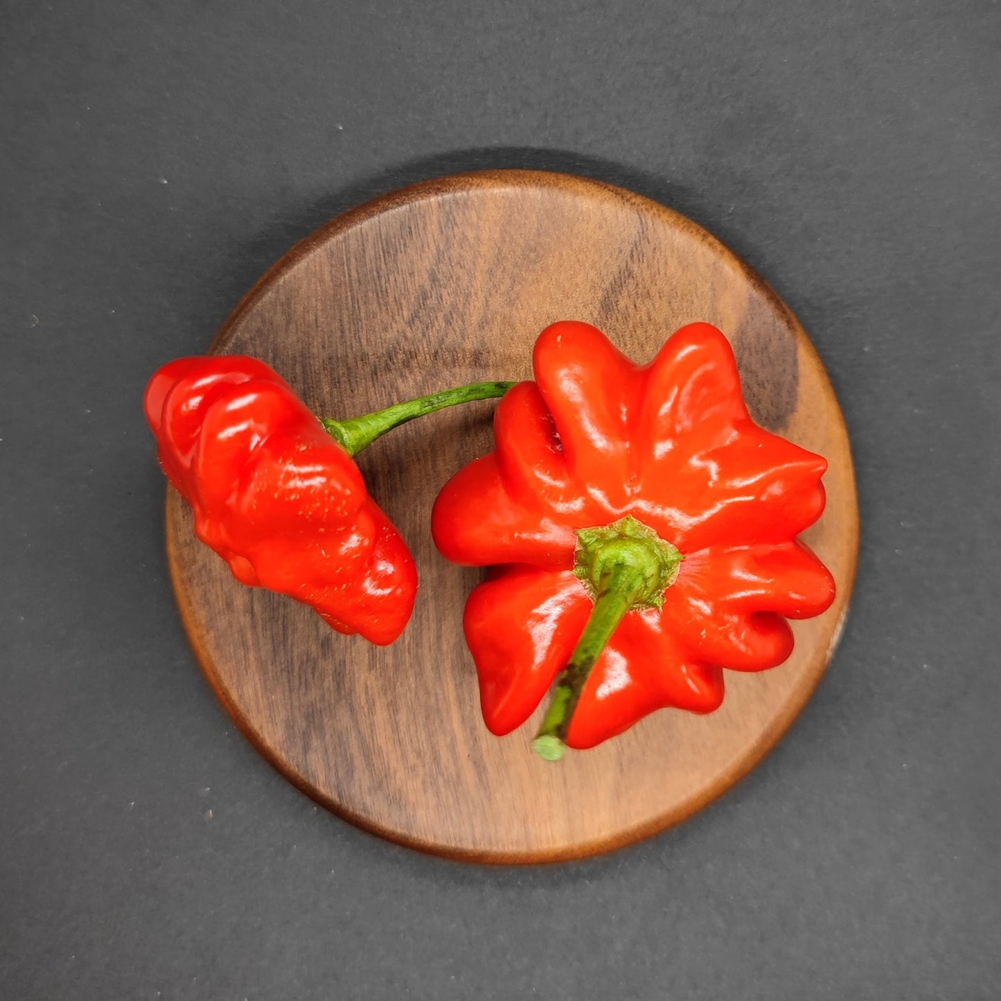 Two vibrant Brazilian Starfish peppers from PepperMerchant.net, with their distinctive red hue and green stems, rest on a round wooden plate against a dark backdrop. Their unique, wrinkled texture suggests a medium heat level while offering delightful floral and fruity flavors.