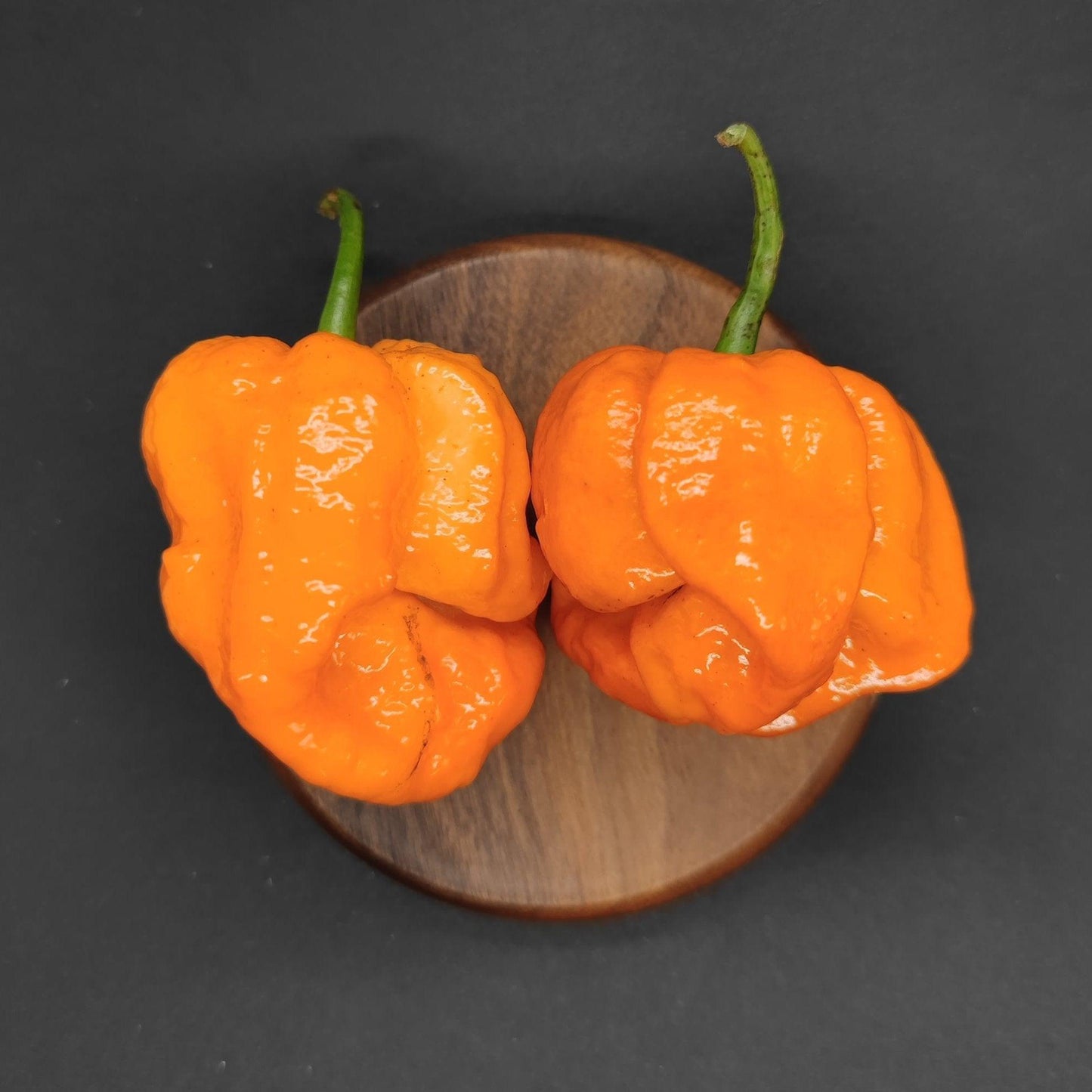 Two vibrant Orange Moruga peppers with green stems sit next to each other on a round, dark wooden surface against a plain black background—an irresistible sight for hot sauce enthusiasts seeking the fiery thrill measured in Scoville Heat Units, courtesy of PepperMerchant.net.