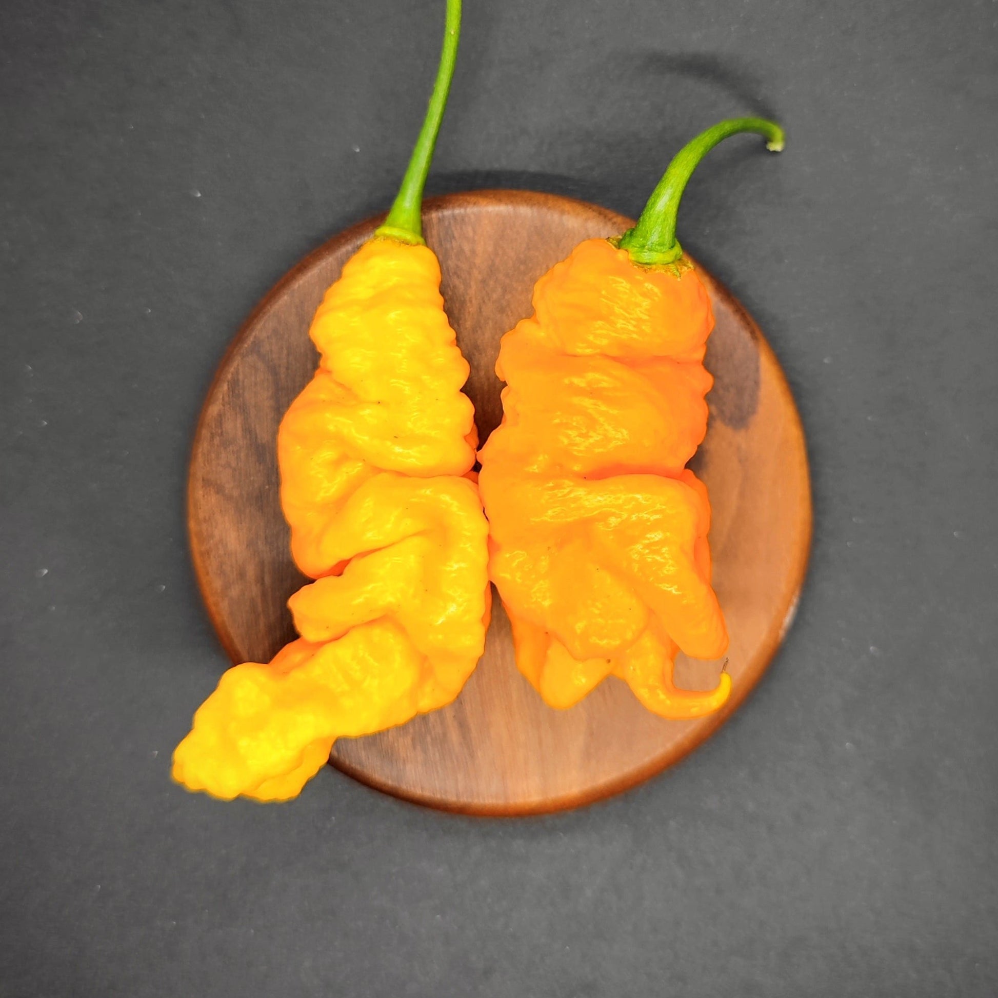 Two vibrant Mantis Claw Yellow peppers from PepperMerchant.net, with a wrinkled texture and green stems, rest on a wooden circular board against a dark background, ready to be transformed into a fiery hot sauce.