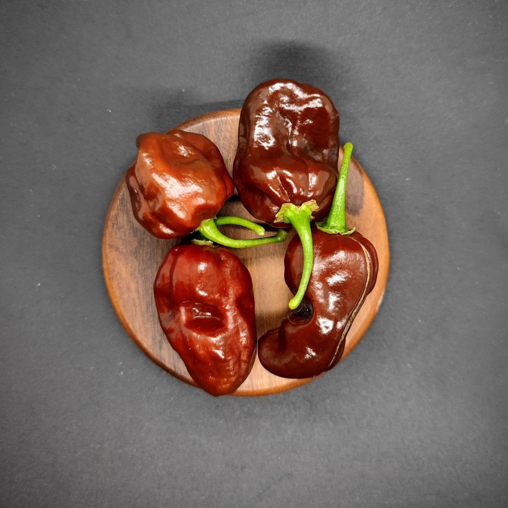 Four dark brown, irregularly shaped Chocolate Habanero peppers from PepperMerchant.net are placed on a round wooden board against a dark background. The Capsicum chinense peppers have shiny, glossy skins and green stems, promising an intense heat with high Scoville Heat Units.