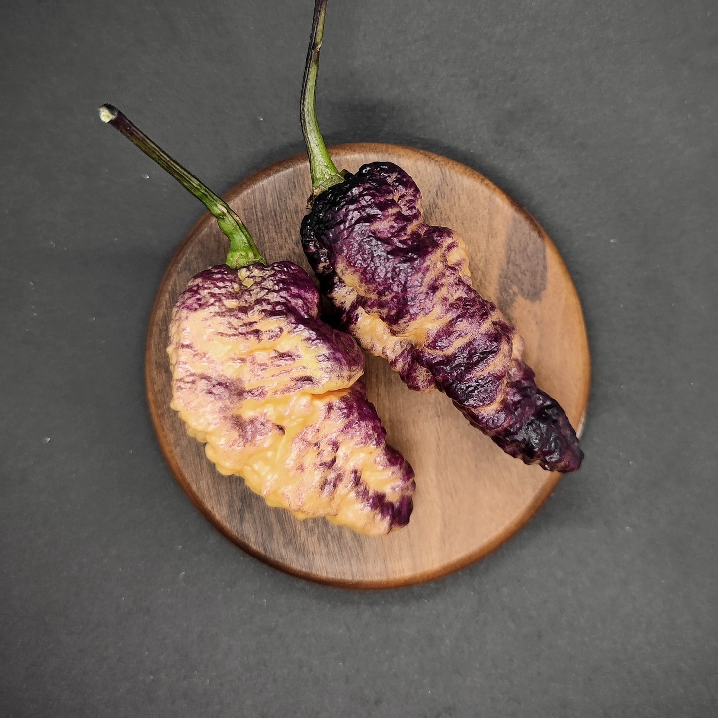 Two wrinkled, multicolored BBG Hellwalker Peach peppers with shades of purple and yellow from PepperMerchant.net rest on a round wooden dish against a dark background.