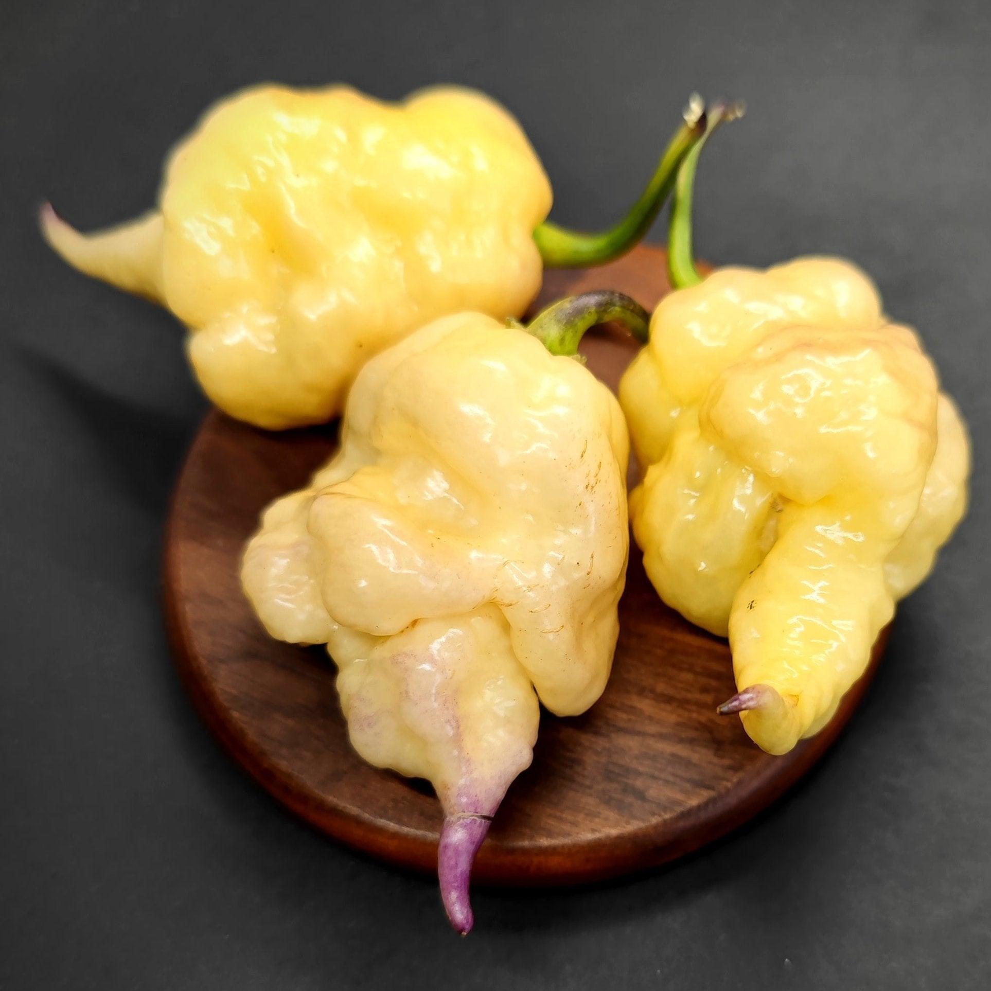 Three bumpy, pale yellow peppers with a slightly wrinkled texture are arranged on a small, round wooden surface against a dark background. One pepper from PepperMerchant.net, the Jays x Pink x Lemon Reaper, has a small purple tip at its end.