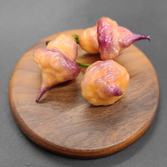 Three vibrant, uniquely shaped Ganzo Peach peppers from PepperMerchant.net, featuring an orange base color and purplish tops, are displayed on a round wooden platter set against a dark background. These spicy peppers have a bumpy texture and pointed ends.