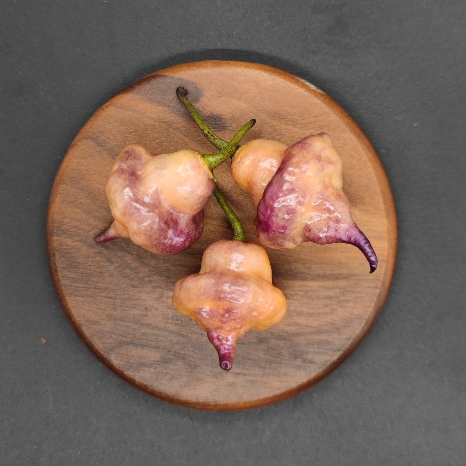 On a round wooden plate, three distinctive and vibrant Ganzo Peach peppers from PepperMerchant.net display an exquisite blend of light pink, purple, and cream hues. Their unusual wrinkled texture contrasts beautifully against a dark background. These spicy gems are sure to infuse any dish with a burst of color and heat.