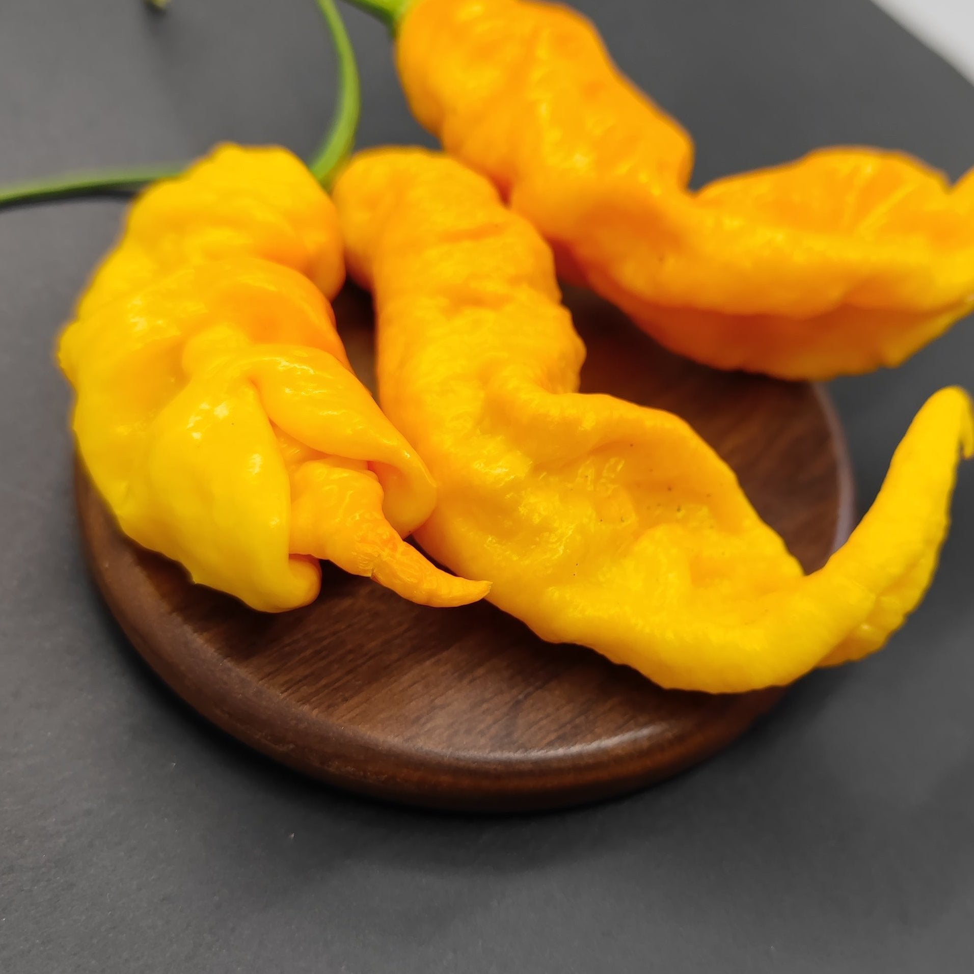 A trio of bright yellow ghost peppers, labeled as Mantis Claw Yellow by PepperMerchant.net, with a bumpy texture rests on a small wooden dish against a dark backdrop—perfect for making your own hot sauce.