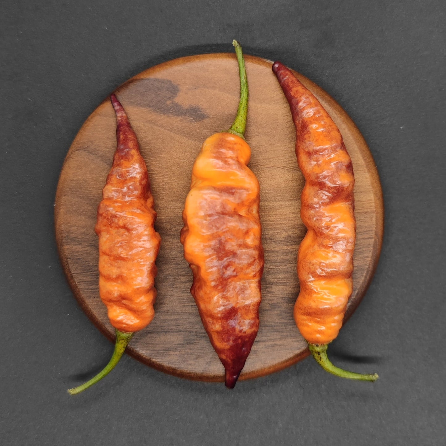 On a round wooden board against a dark backdrop, three wrinkled Pseudo Ganzo Pastel peppers from PepperMerchant.net are aligned in a row, showcasing their orange-red hue and green stems with a heat level of 600,000 SHU.