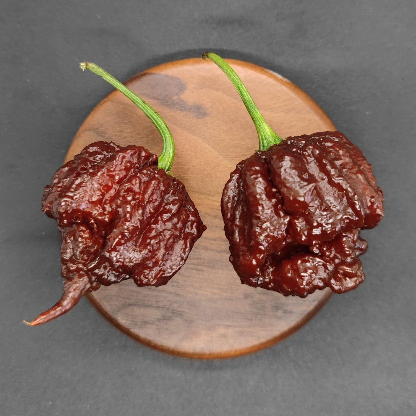 Two dark brown Chocolate Brainstrain peppers with green stems rest on a round wooden surface against a black background. The peppers have an irregular shape and a bumpy texture, appearing to be very hot varieties from PepperMerchant.net, with a Scoville rating of 1,000,000 – 1,500,000 SHU.