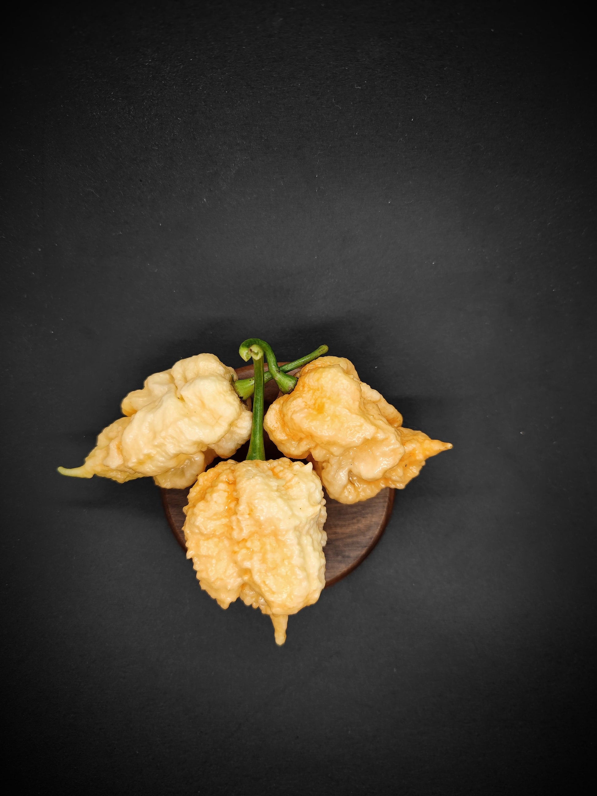 Three peach-colored, wrinkled ghost peppers with green stems, known as Peach Miasma from PepperMerchant.net and revered for their extreme heat, sit on a dark surface.