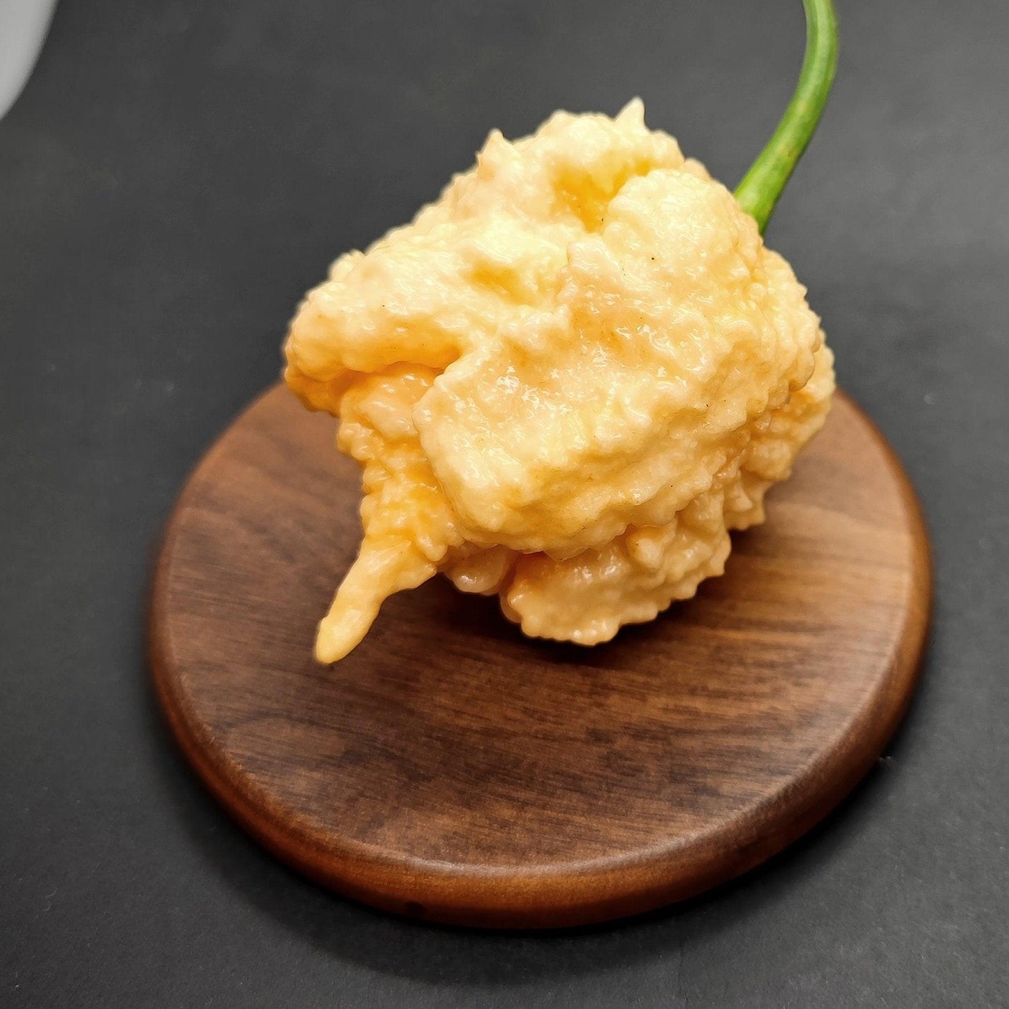 The Peach Miasma from PepperMerchant.net, a creamy yellowish substance reminiscent of mashed potatoes or scrambled eggs, is displayed on a brown wooden coaster. A green stem and seeds emerging from the mixture hint at it being a type of pepper or vegetable. The dark background highlights the textured food item, evoking thoughts of superhot peppers.