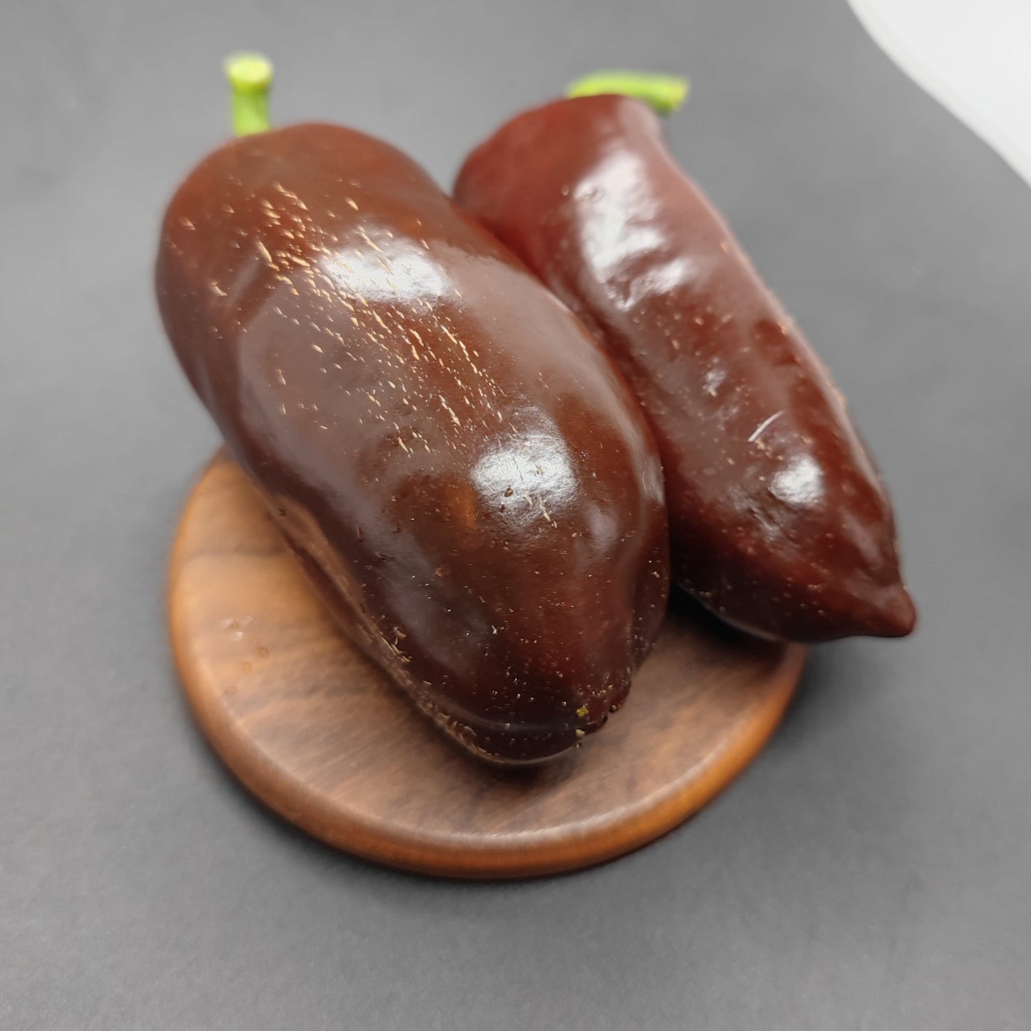 Two dark brown jalapeños, known as Mocha Mocha chocolate pods, rest on a small wooden dish against a gray background—another PepperMerchant.net exclusive.