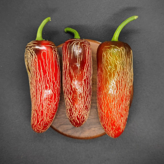 Three Early Jalapeno peppers from PepperMerchant.net, showcasing red hues and varying striations on their skin, are arranged vertically on a round wooden surface against a black background. These homegrown peppers exhibit unique and textured appearances due to the differing intensities of their striations.