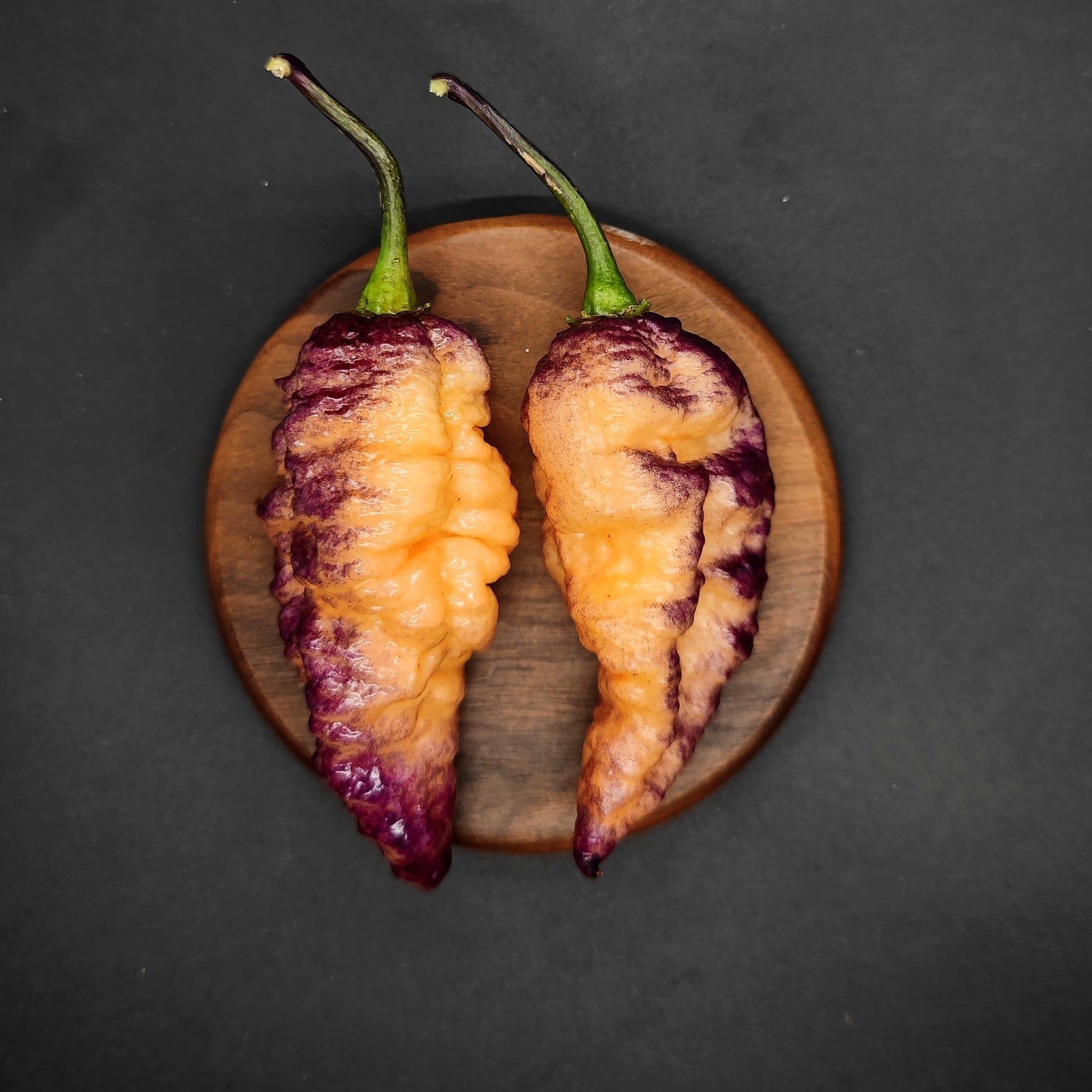 The BBG Hellwalker Peach peppers from PepperMerchant.net, with their remarkable gradient of purple to orange and intense heat, are elegantly displayed on a small wooden plate against a dark backdrop.