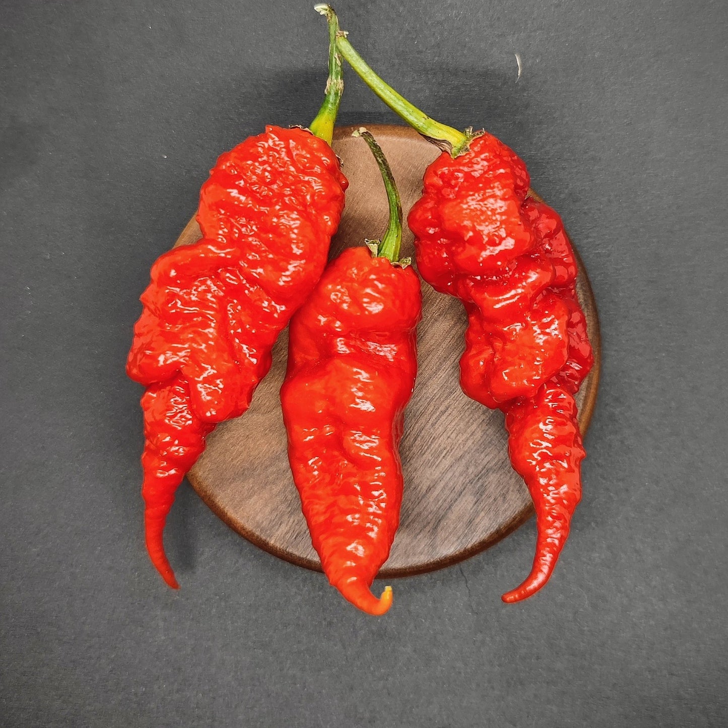 Three red Tiberius Maulers from PepperMerchant.net, with wrinkled surfaces, are displayed on a small round wooden platter against a black background. The elongated peppers have pointed tips and green stems, suggesting the hot seeds inside their pods.