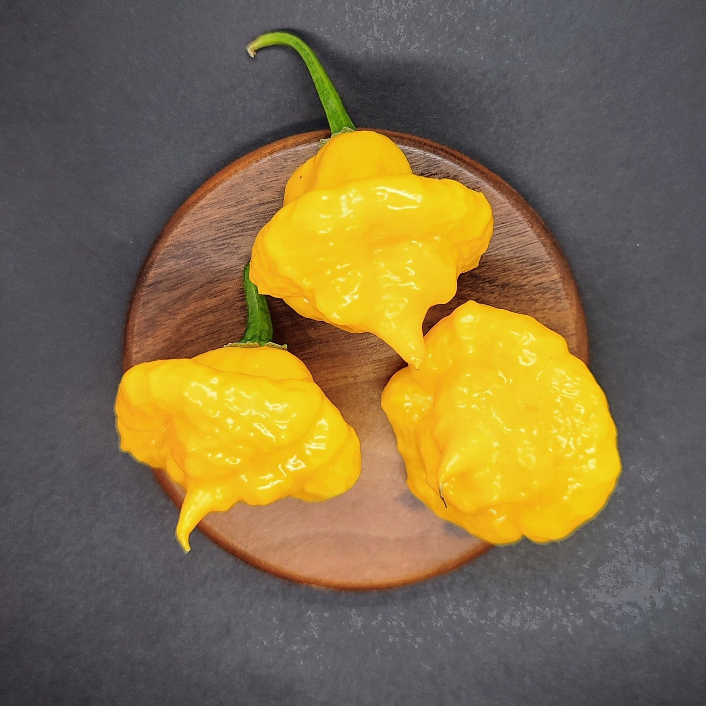 Three vibrant yellow KSLS peppers from PepperMerchant.net, a hybrid variety with a moderate heat level, are arranged on a round wooden plate against a dark background. A single stem is visible, accentuating the peppers' vivid color and distinctive texture.