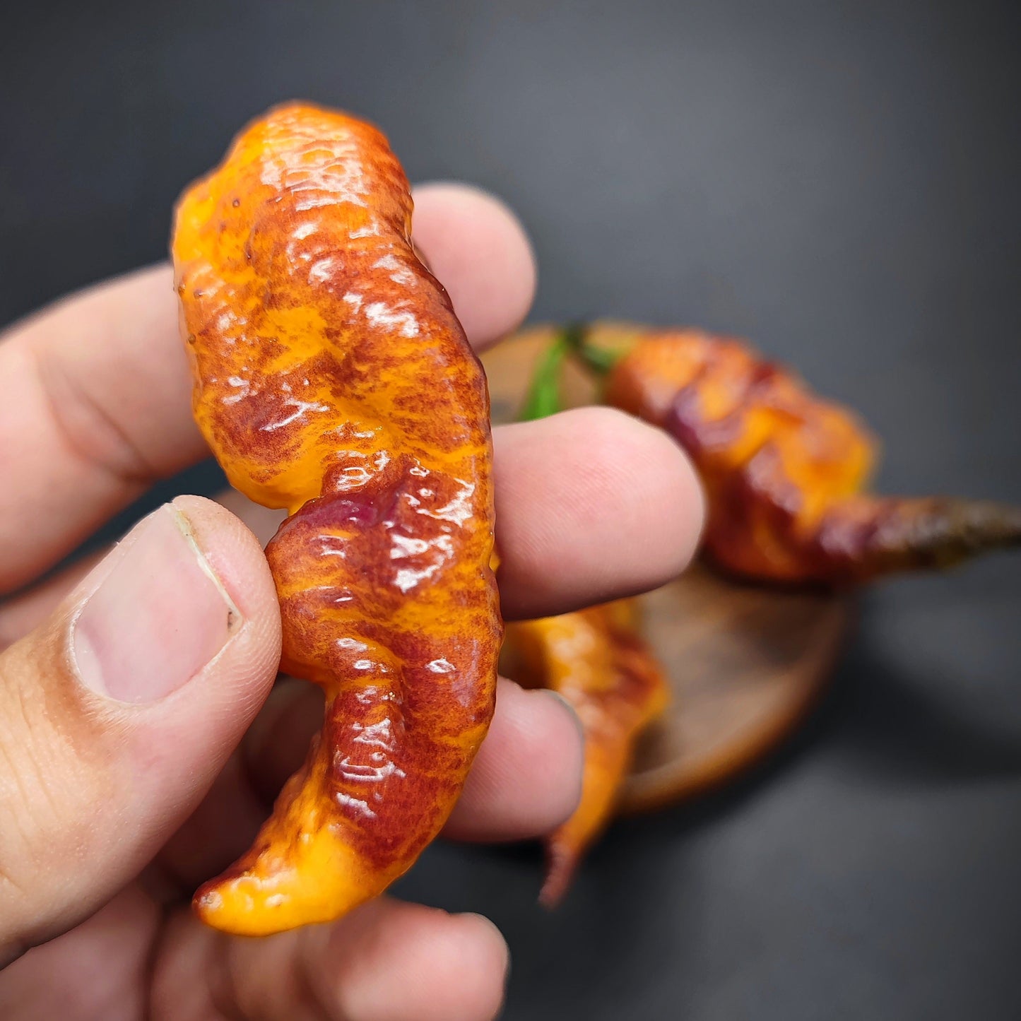 A close-up of a hand holding a wrinkled, reddish-orange PM030 - Jays x Pink x Lemon Ghost chili from PepperMerchant.net; another similar pepper rests on a wooden surface in the blurred background—ideal for unique superhot seed seekers.