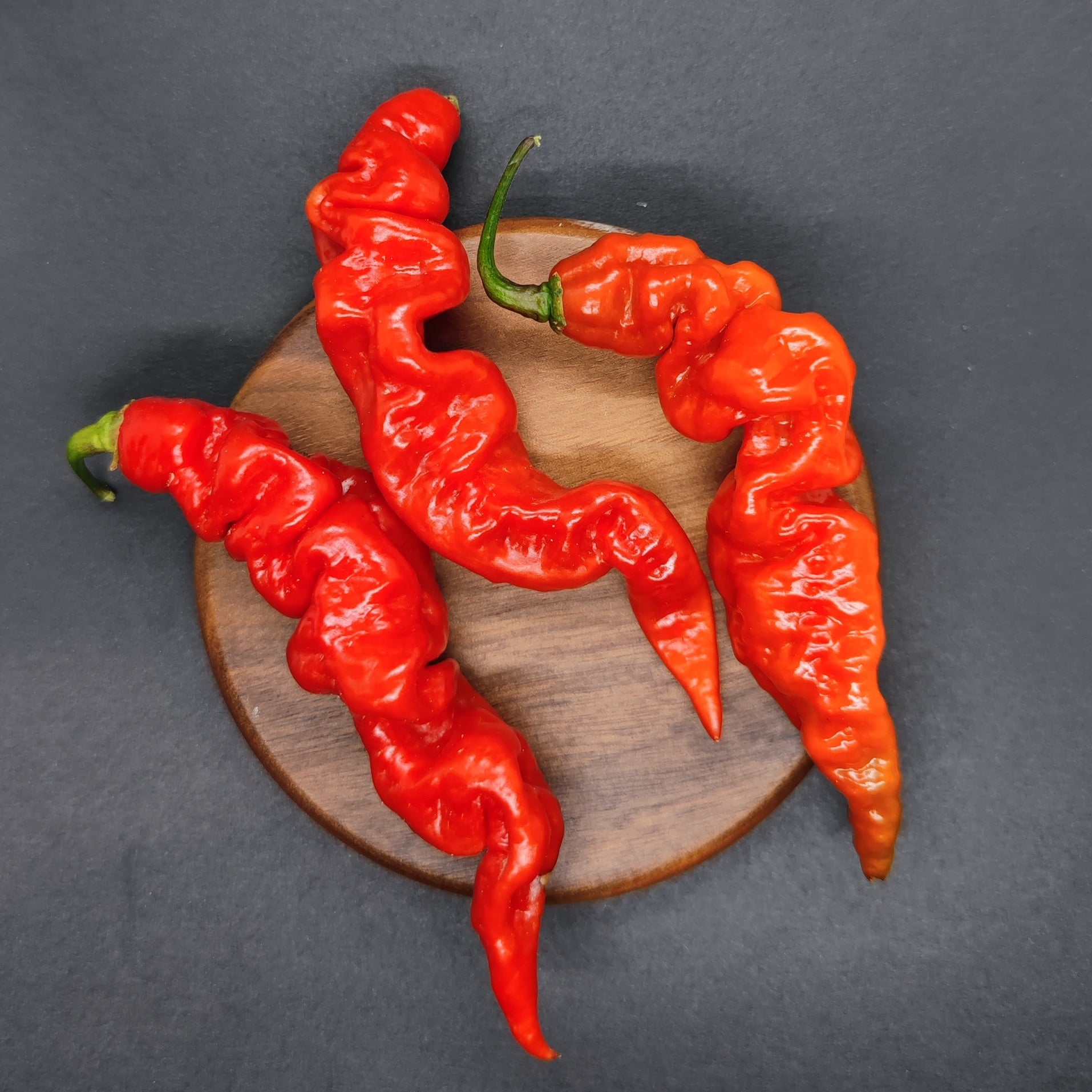 Three wrinkled, bright red Zou-Pi x Ghost chili peppers from PepperMerchant.net with twisted shapes rest on a small wooden board against a dark backdrop, highlighting their unique appearance for hot pepper seed enthusiasts.