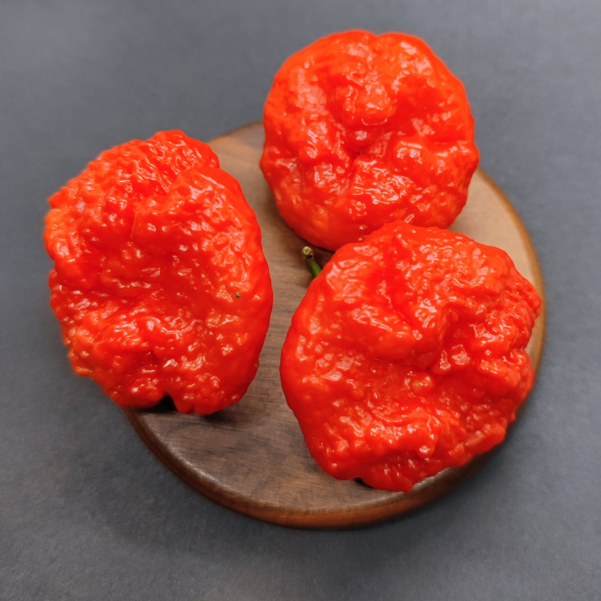 Three vibrant red Scotch Brains peppers from PepperMerchant.net sit on a small round wooden board against a dark background—ideal for hot pepper fans seeking intense flavor.
