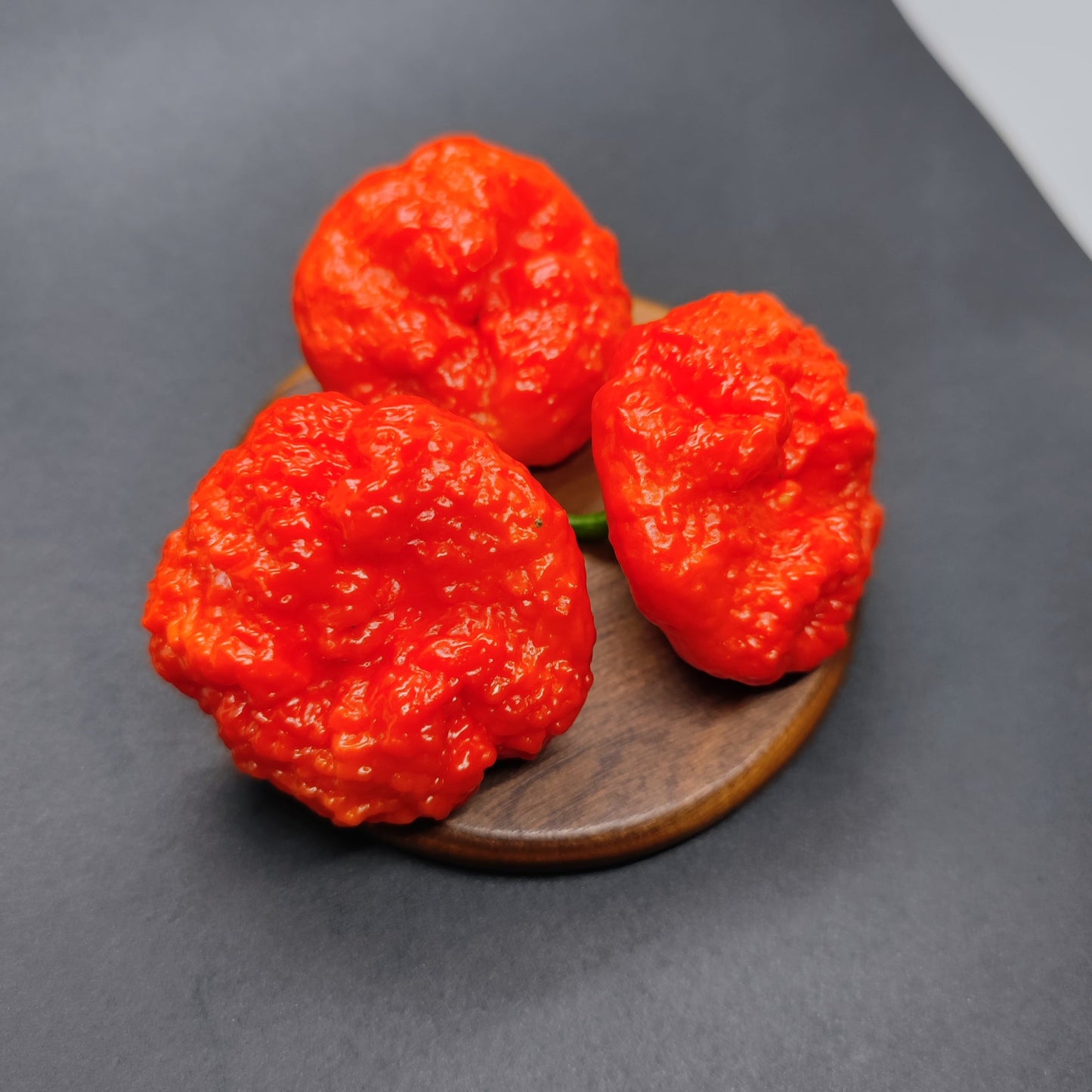 Three vibrant Scotch Brains - Red peppers from PepperMerchant.net rest on a round wooden surface, their signature bumpy texture and bold red color standing out against a dark background.