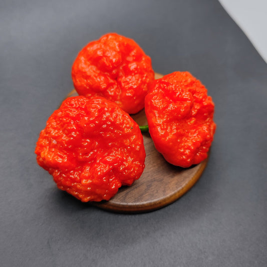 Three vibrant Scotch Brains - Red peppers from PepperMerchant.net rest on a round wooden surface, their signature bumpy texture and bold red color standing out against a dark background.