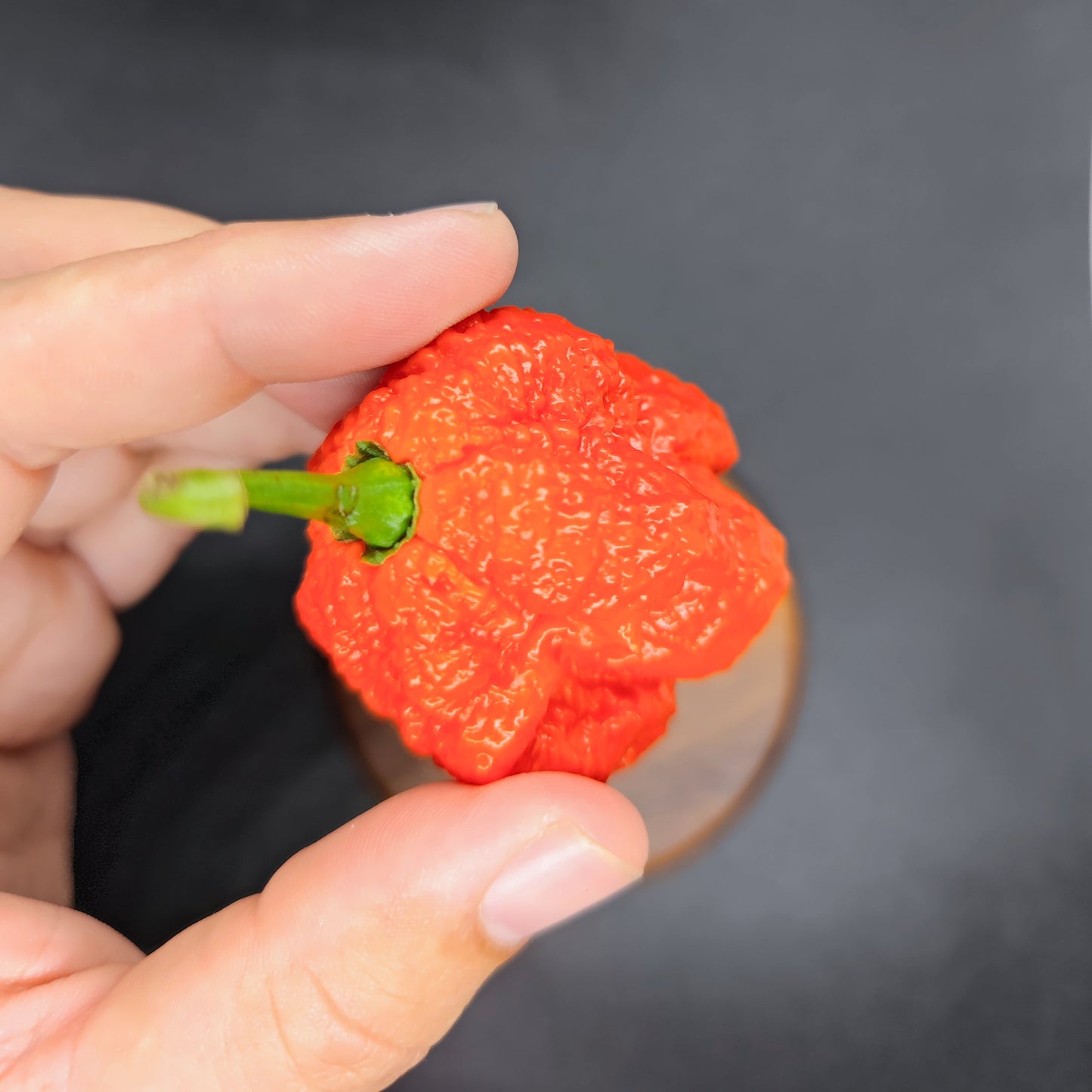 Pêche Miasme Orange