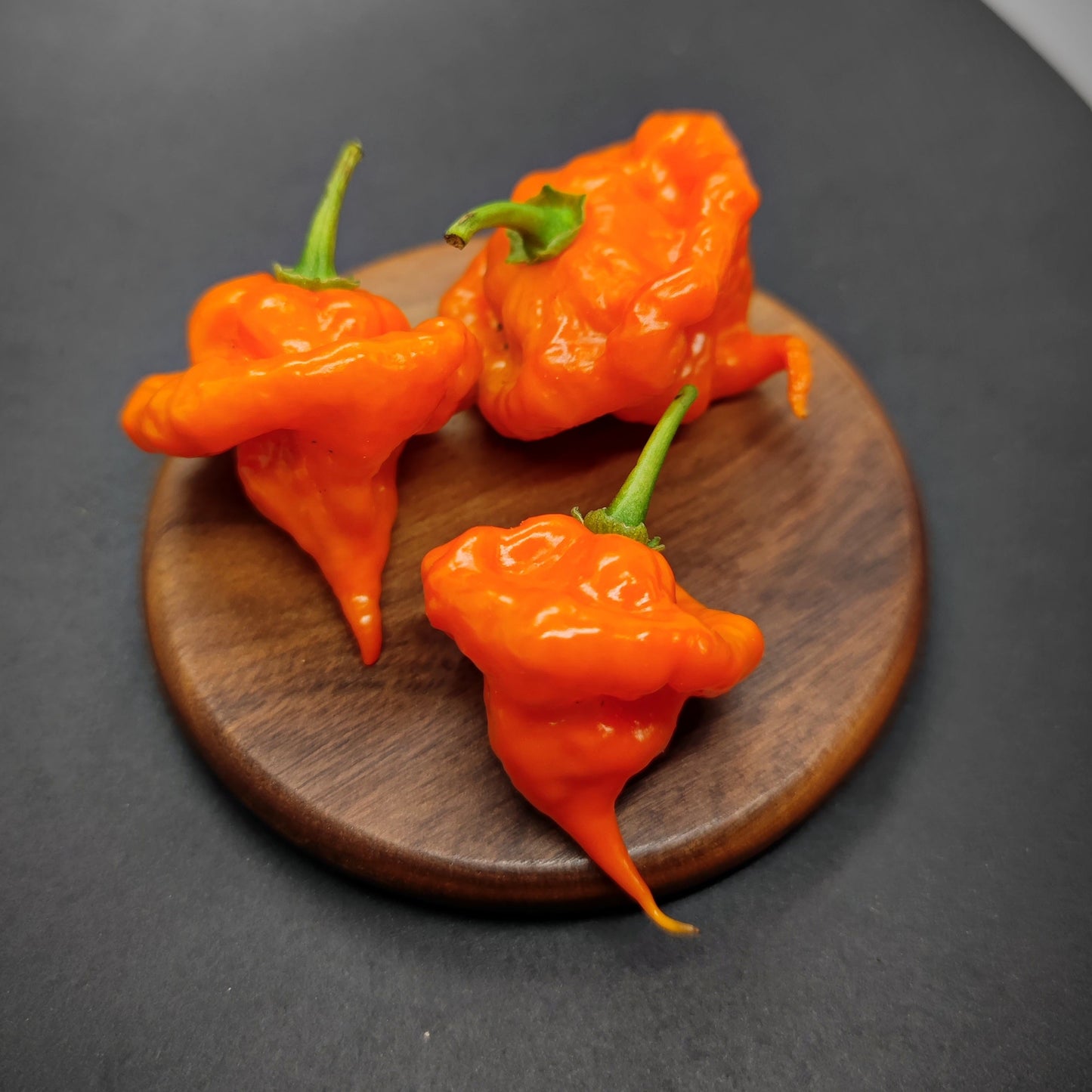 Three vivid orange, wrinkled Orange Ripple peppers from PepperMerchant.net with green stems rest on a wooden dish. Their bumpy, irregular shape signals the superhot heat perfect for spicing up hot sauce recipes.