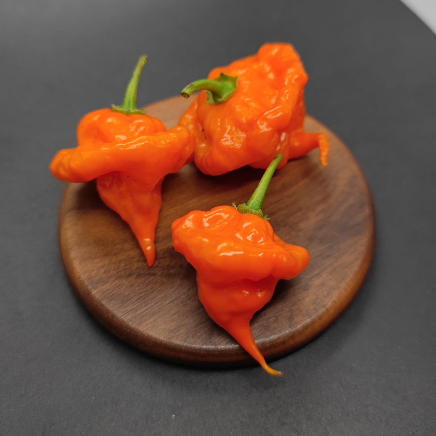 Three bright orange, wrinkled Orange Ripple peppers from PepperMerchant.net with pointed tips rest on a round wooden board—ideal for adding intense heat to your next hot sauce creation.