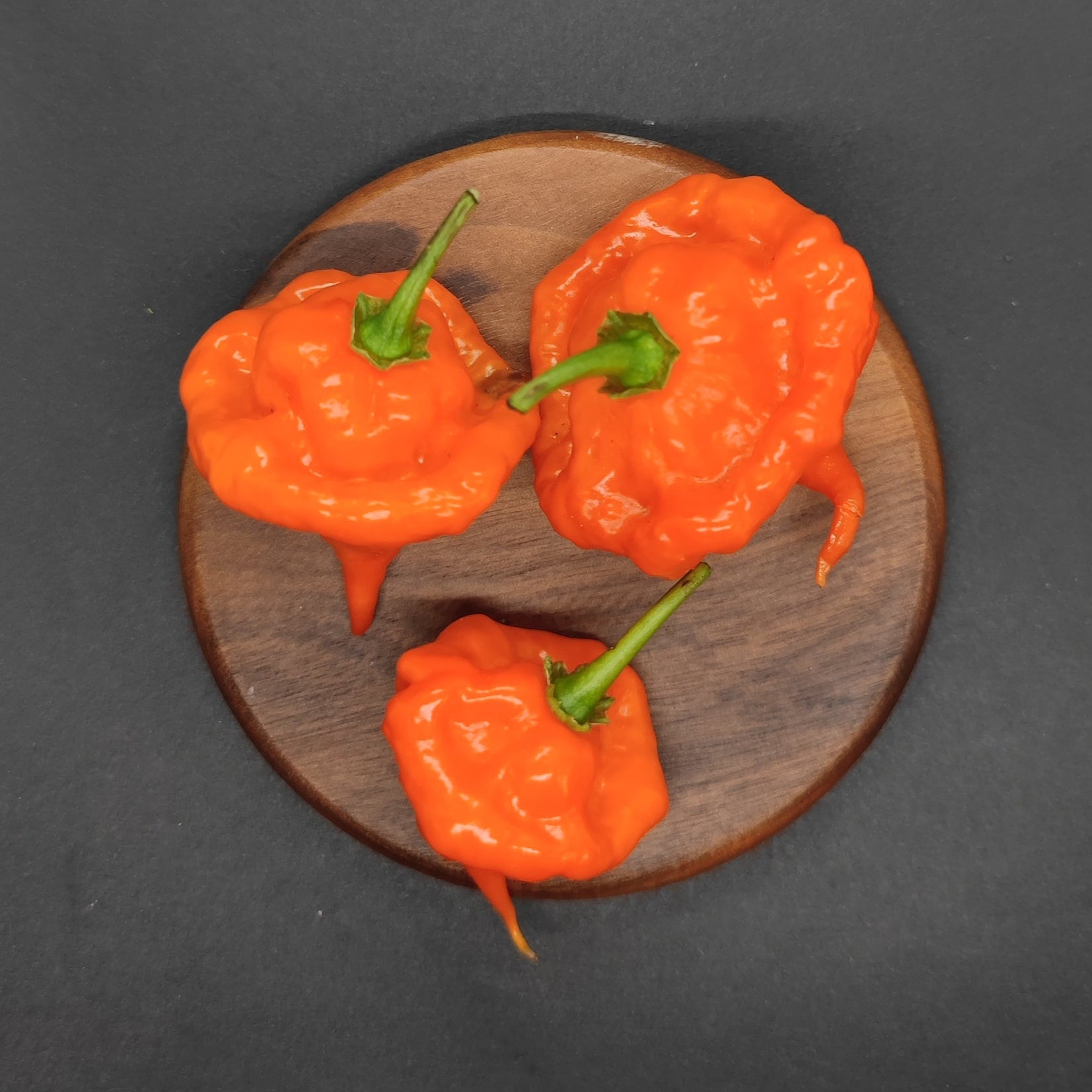 Three bright orange Orange Ripple peppers from PepperMerchant.net, with green stems and bumpy, irregular shapes, rest on a round wooden board against a dark background. These superhot peppers showcase a distinctive wrinkled texture.