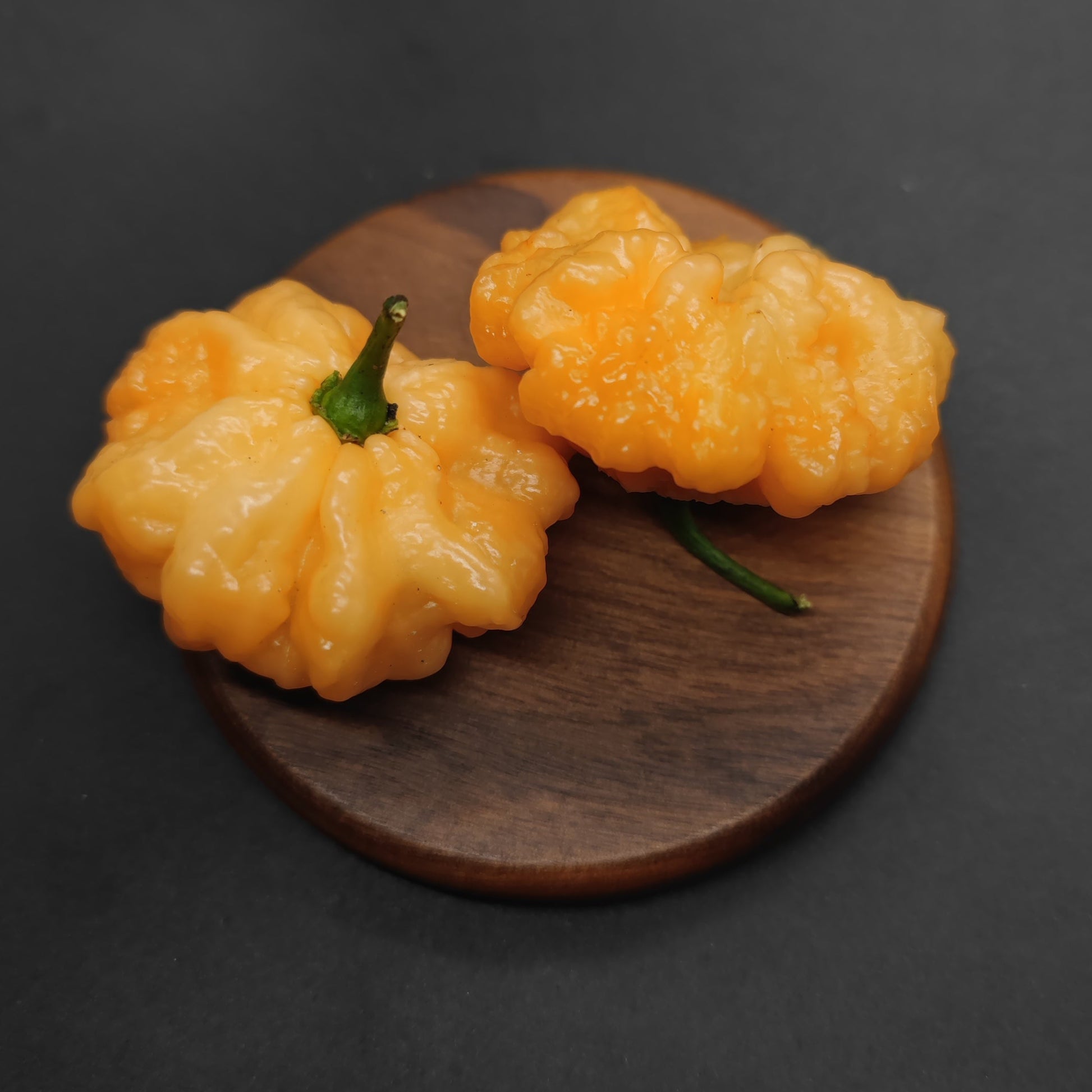 Two yellow, wrinkled Goat Brain peppers from PepperMerchant.net with green stems sit on a small round wooden board, set against a dark background.