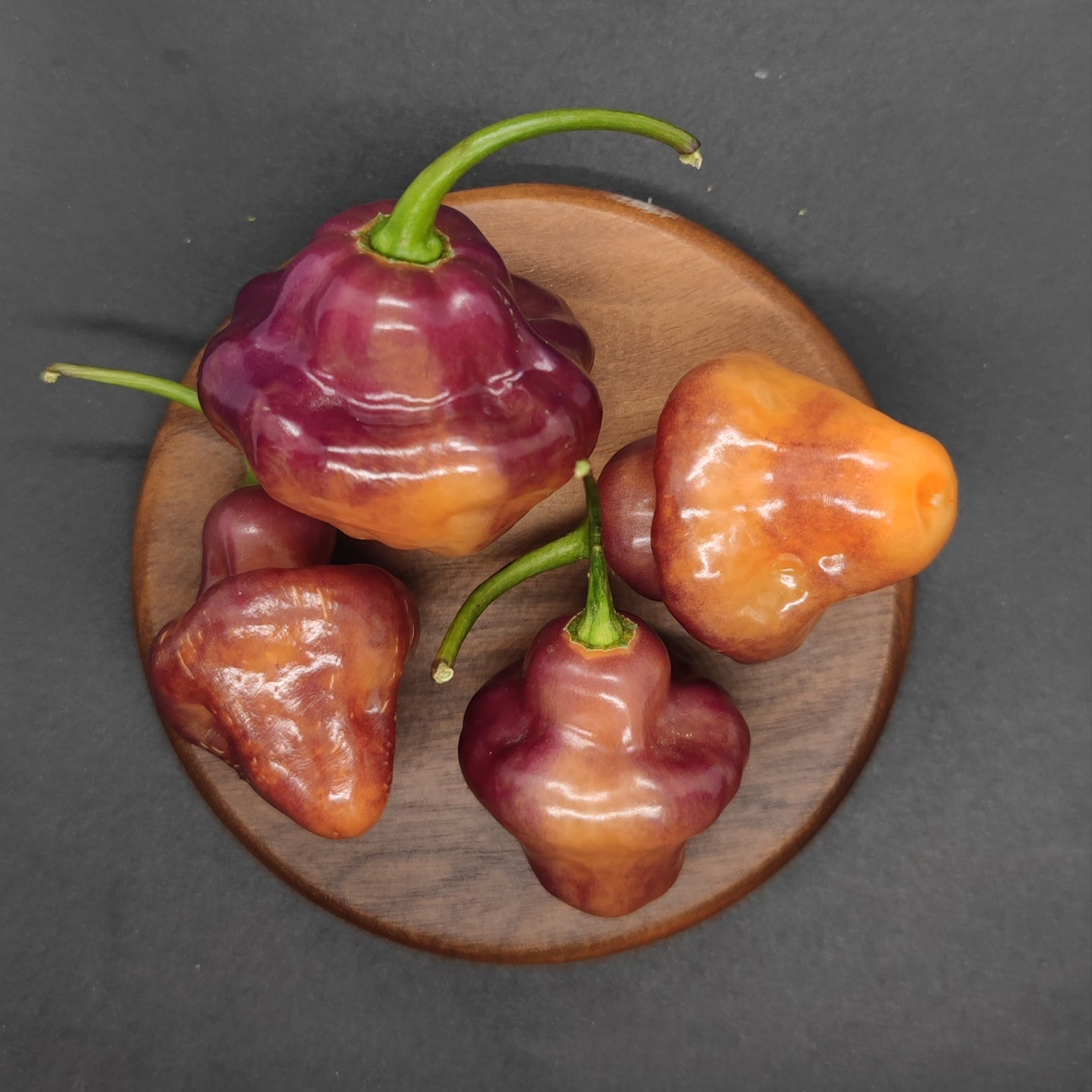 Four glossy Peach Cheiro Roxa chili peppers from PepperMerchant.net, known for their mild heat and fruity flavor, sit on a round wooden plate against a dark gray background.