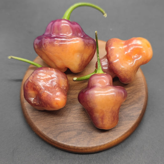 Four bumpy orange and purple Peach Cheiro Roxa peppers from PepperMerchant.net, with green stems, rest on a round wooden plate against a dark background, showcasing their mild heat and unique fruity flavor.