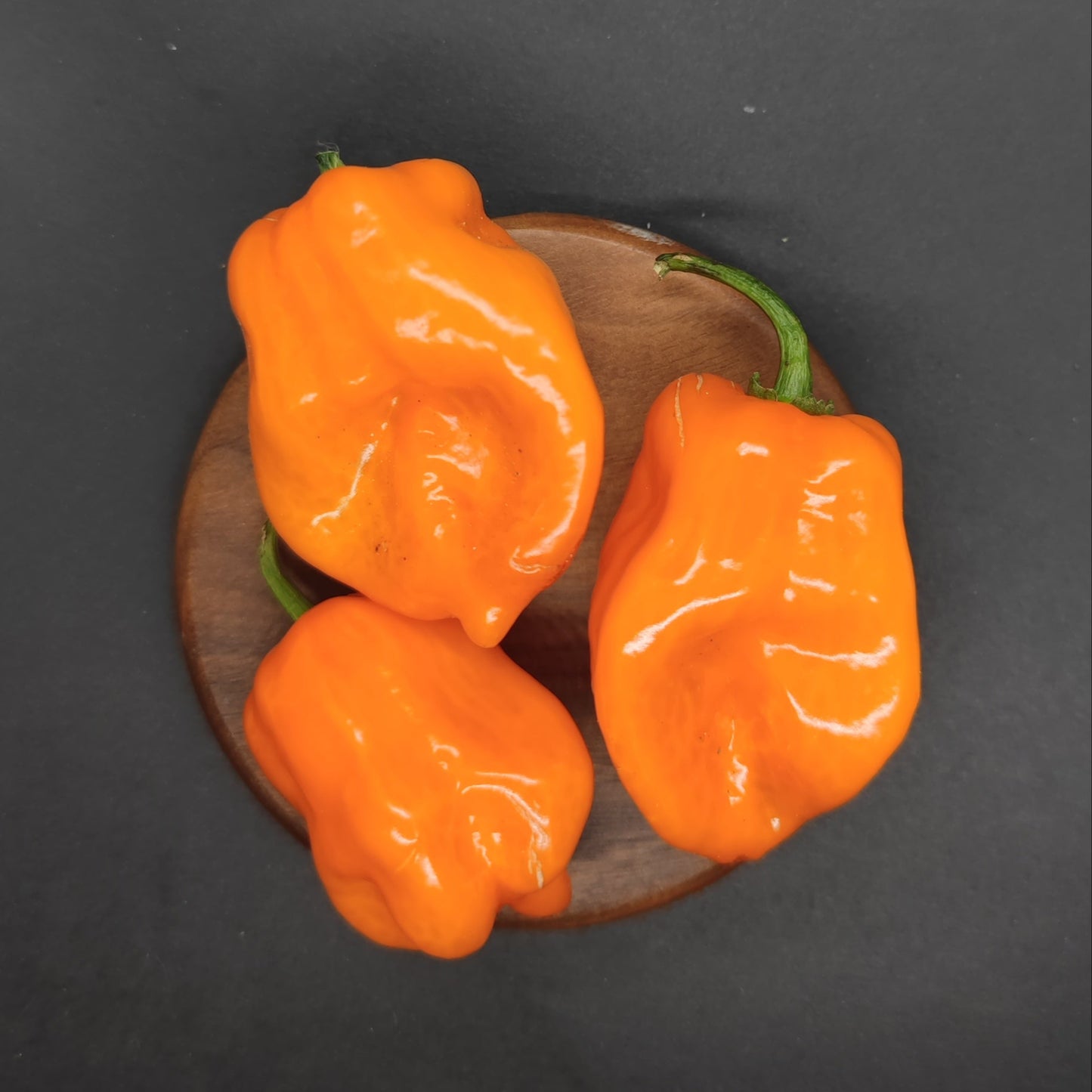 Three vibrant orange habanero peppers with green stems rest on a wooden plate, inspiring gardeners to try PepperMerchant.net’s Habanero Seeds—Orange, Red, Yellow Mixed. Perfect for those wanting to grow colorful habaneros at home.