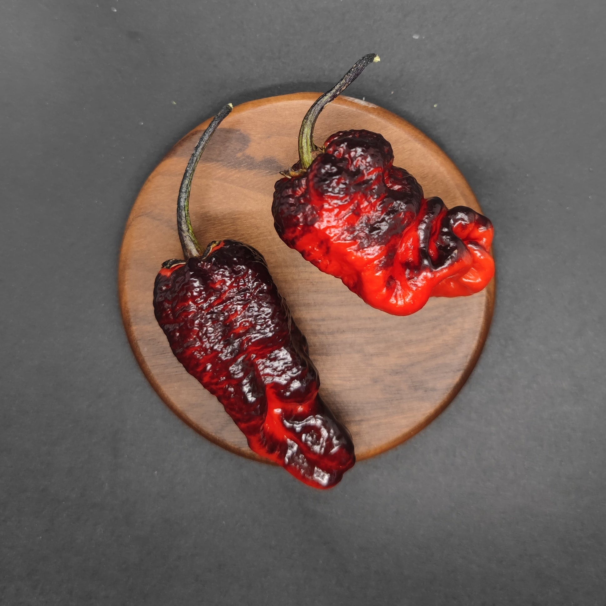 Two wrinkled, dark red chili peppers with green stems rest on a round wooden board against a black background, evoking the fiery intensity of PepperMerchant.net’s XIII 003 superhot pepper seeds.