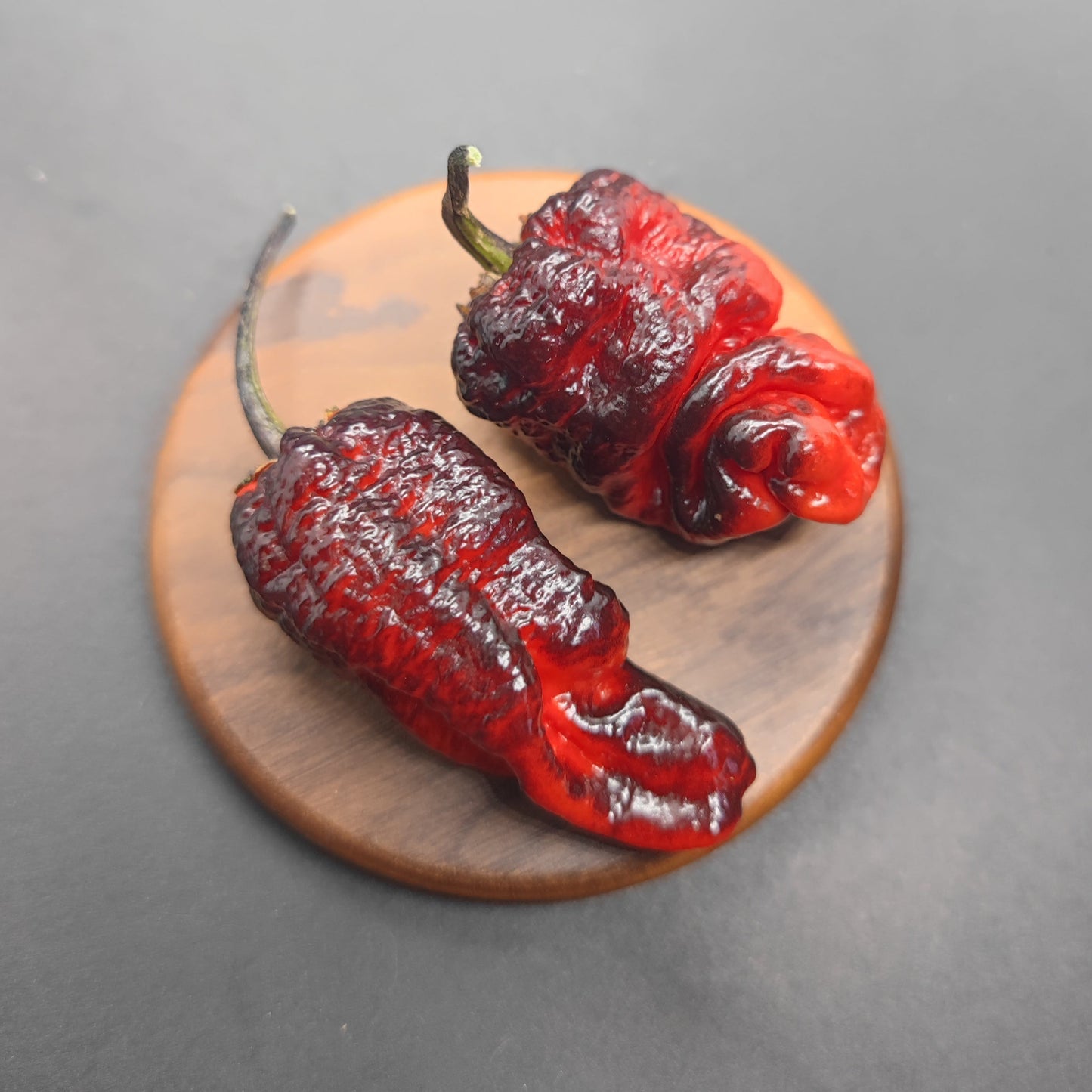Two dark red, wrinkled XIII 003 chili peppers with stems from PepperMerchant.net rest on a round wooden board against a dark gray background.