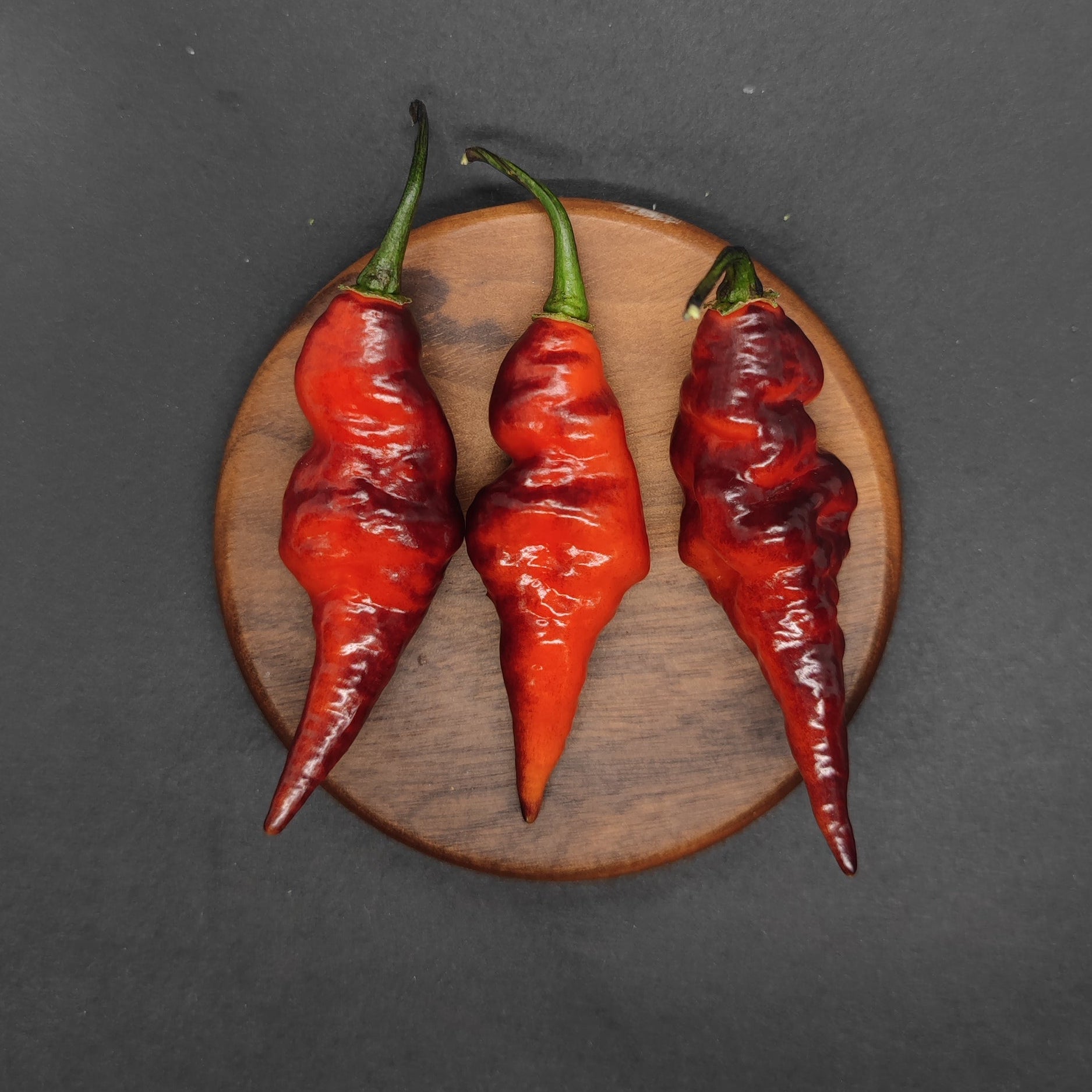 Three Black Chupetinho Long Cross chili peppers from PepperMerchant.net, with green stems, are arranged side by side on a round wooden board against a dark gray background.