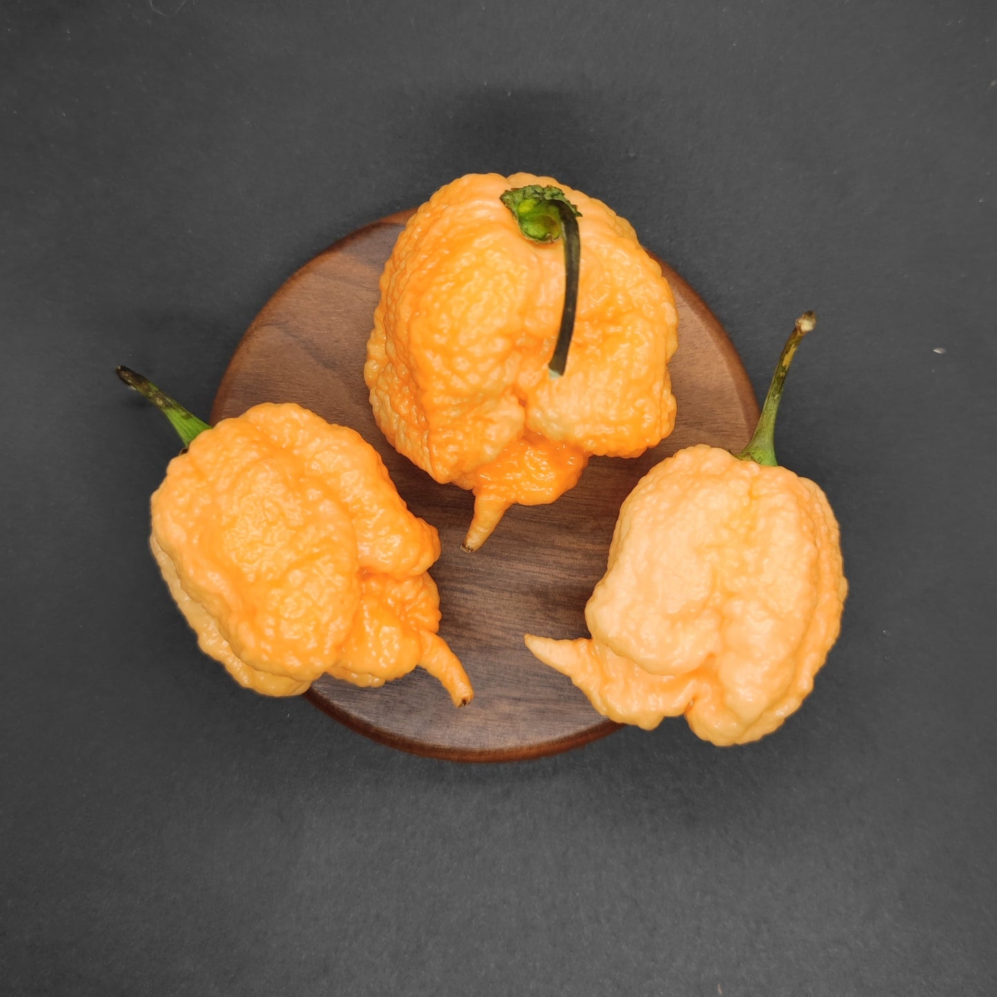 Three wrinkled, vivid orange Peach Reaper peppers from PepperMerchant.net, each with a green stem and superhot Carolina Reaper-like appearance, are arranged on a small round wooden plate against a dark background.
