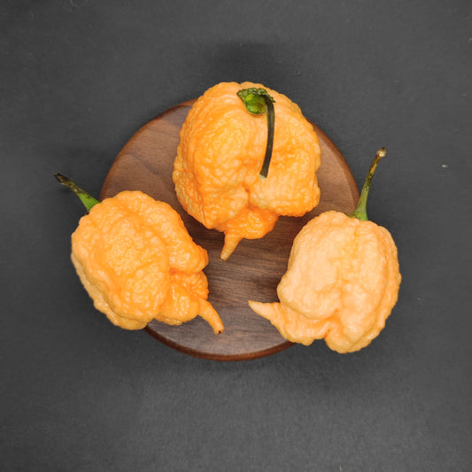 Three wrinkled, vivid orange Peach Reaper peppers from PepperMerchant.net, each with a green stem and superhot Carolina Reaper-like appearance, are arranged on a small round wooden plate against a dark background.