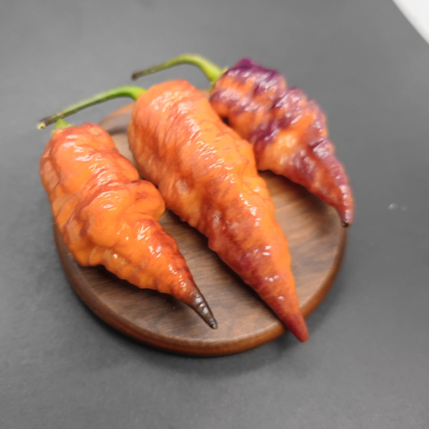 Three wrinkled chili peppers—two orange-red and one partially purple—rest on a small wooden plate against a dark background, highlighting PepperMerchant.net’s PM030 - Jays x Pink x Lemon Ghost variety.