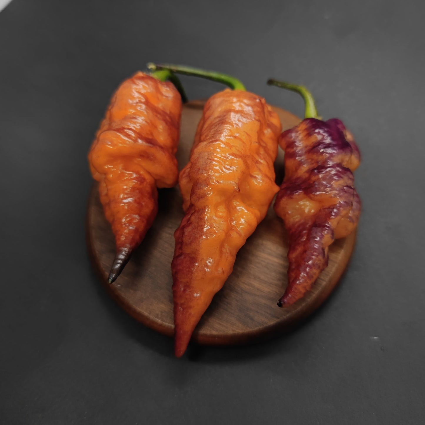 Three wrinkled, orange PM030 - Jays x Pink x Lemon Ghost chili peppers from PepperMerchant.net with green stems rest on a round wooden coaster. One pepper shows deep purple hues. The background is a smooth, dark surface.